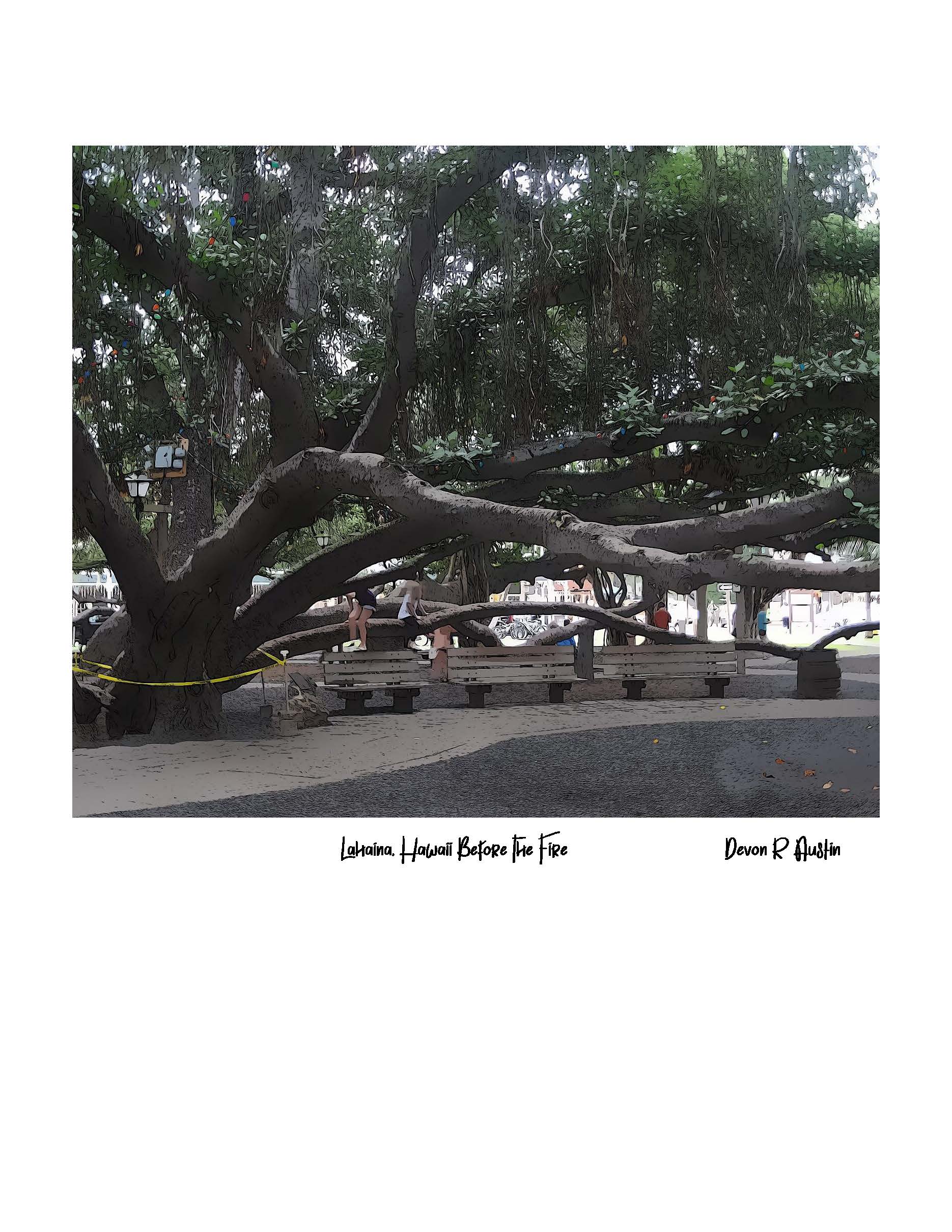 Lahaina Historic Banyan Tree 2010
