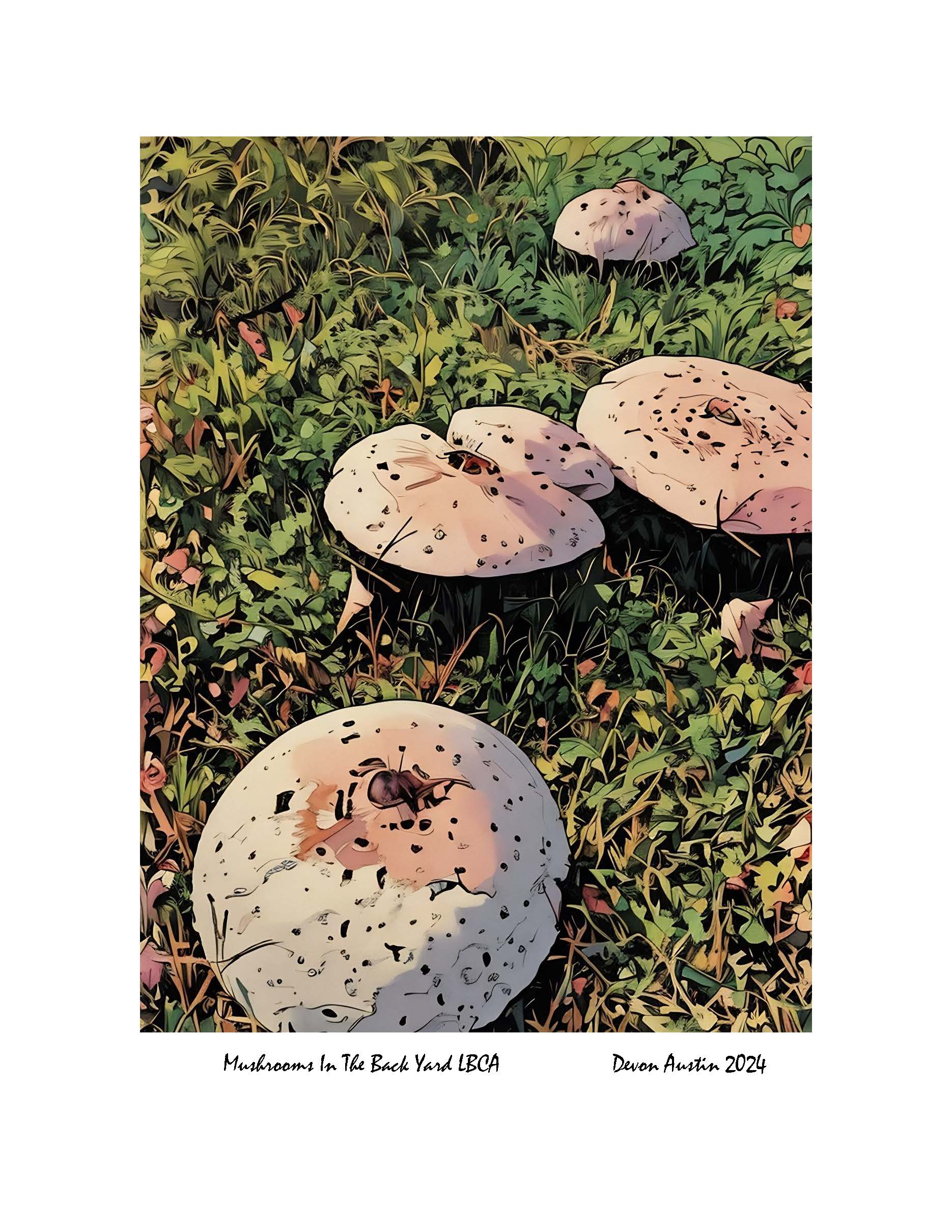 Mushrooms In The Back Yard