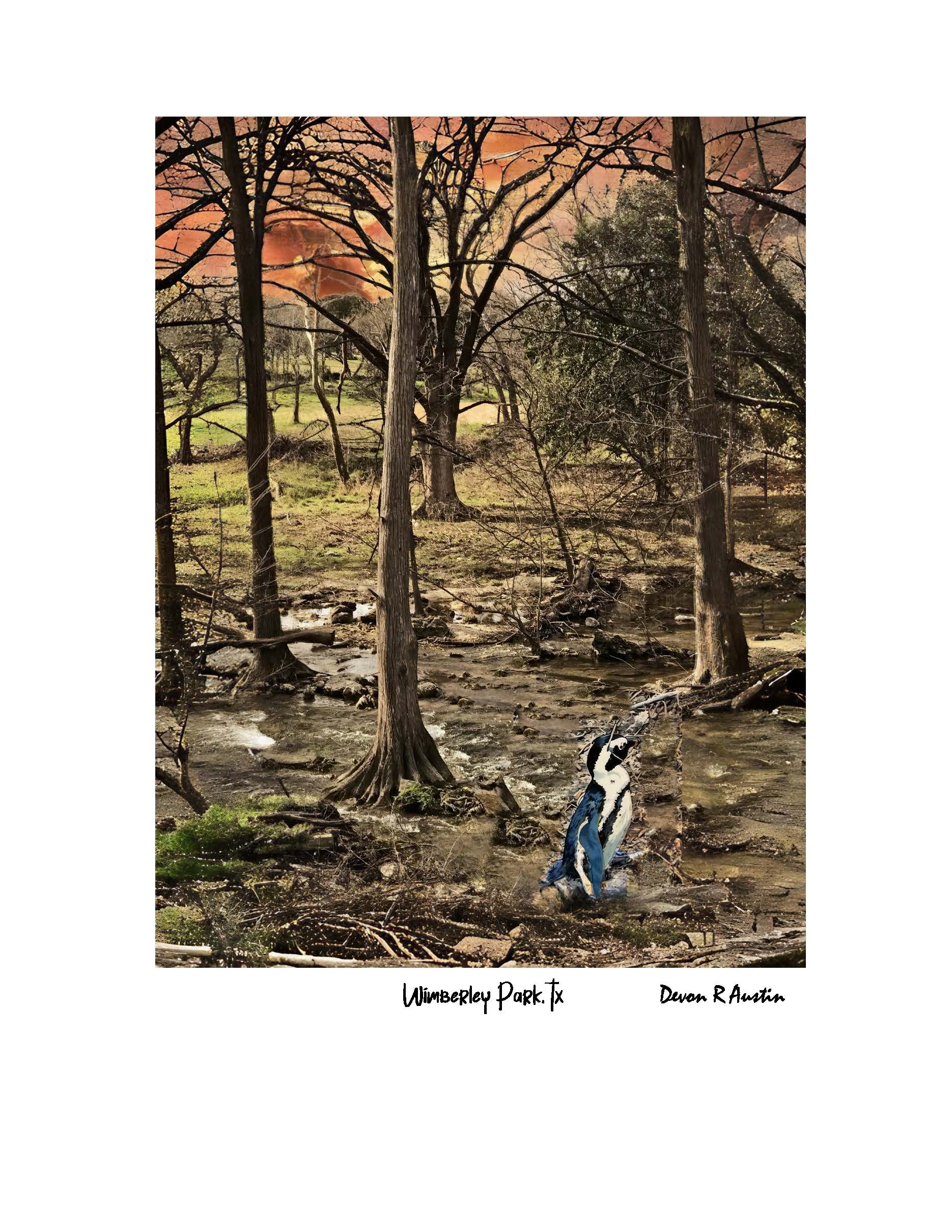 One of Wimberley Parks - Wimberley Texas