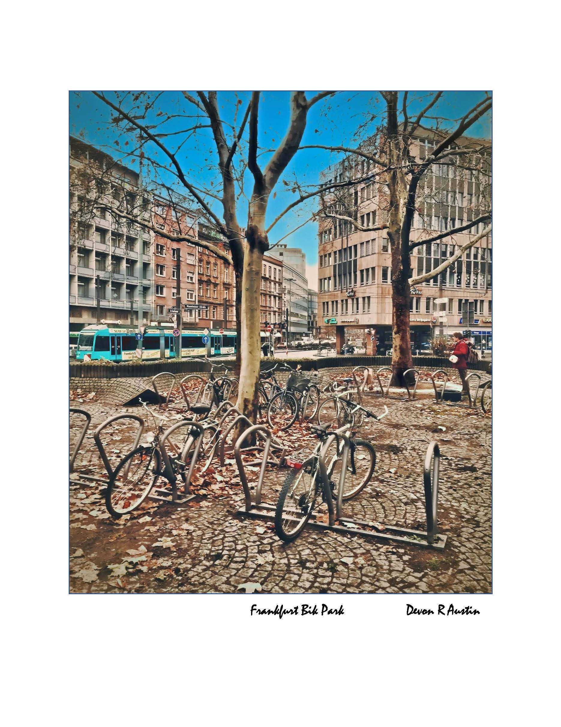Frankfurt Bike Park , Germany