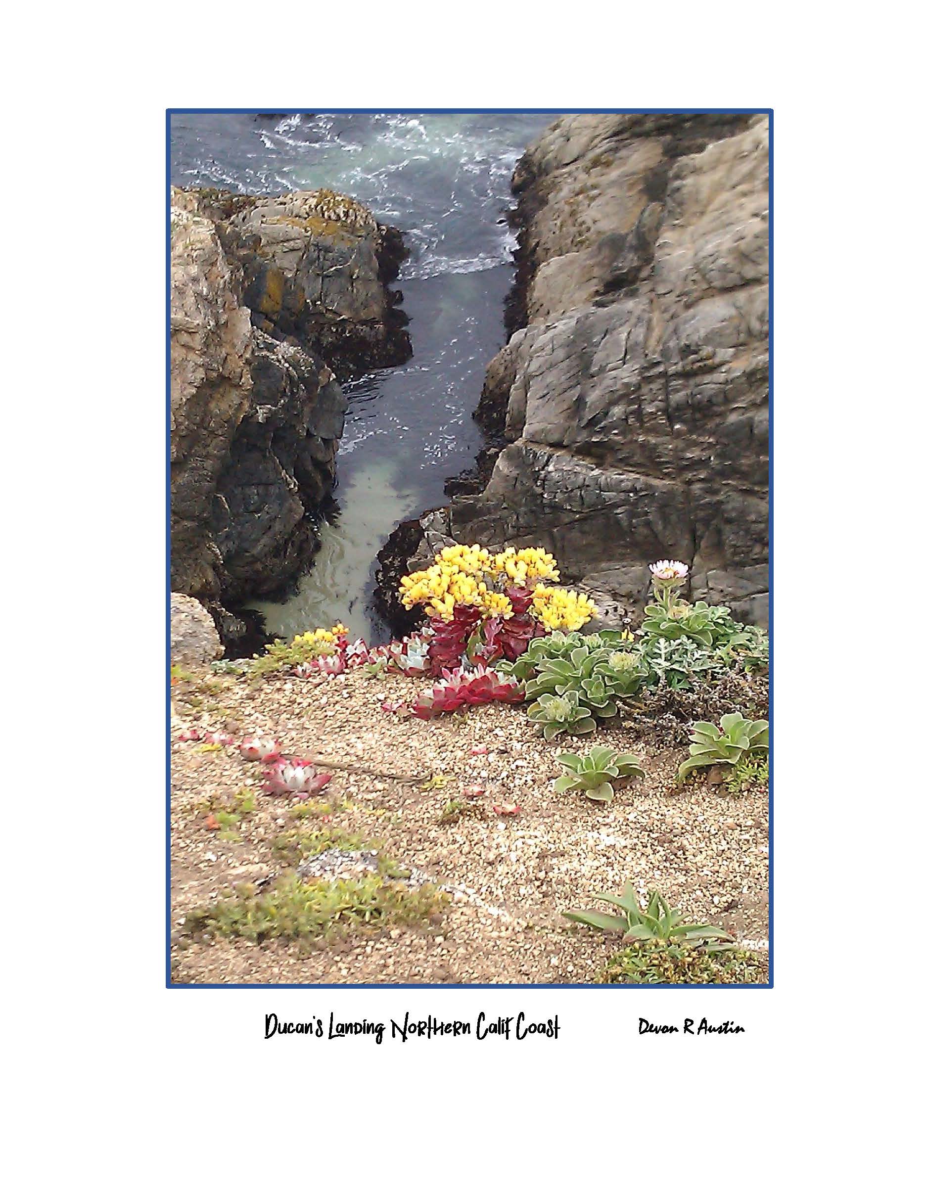 Ducan Landing North Calif Coast