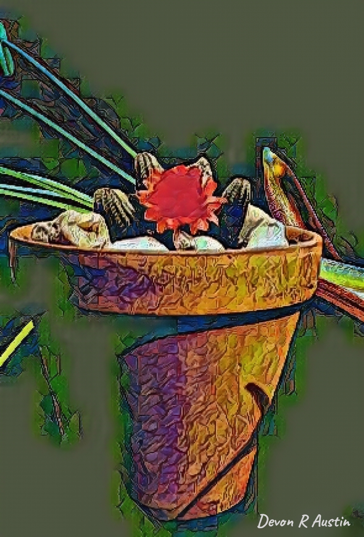 The Cactus Series - A Study in Contrast