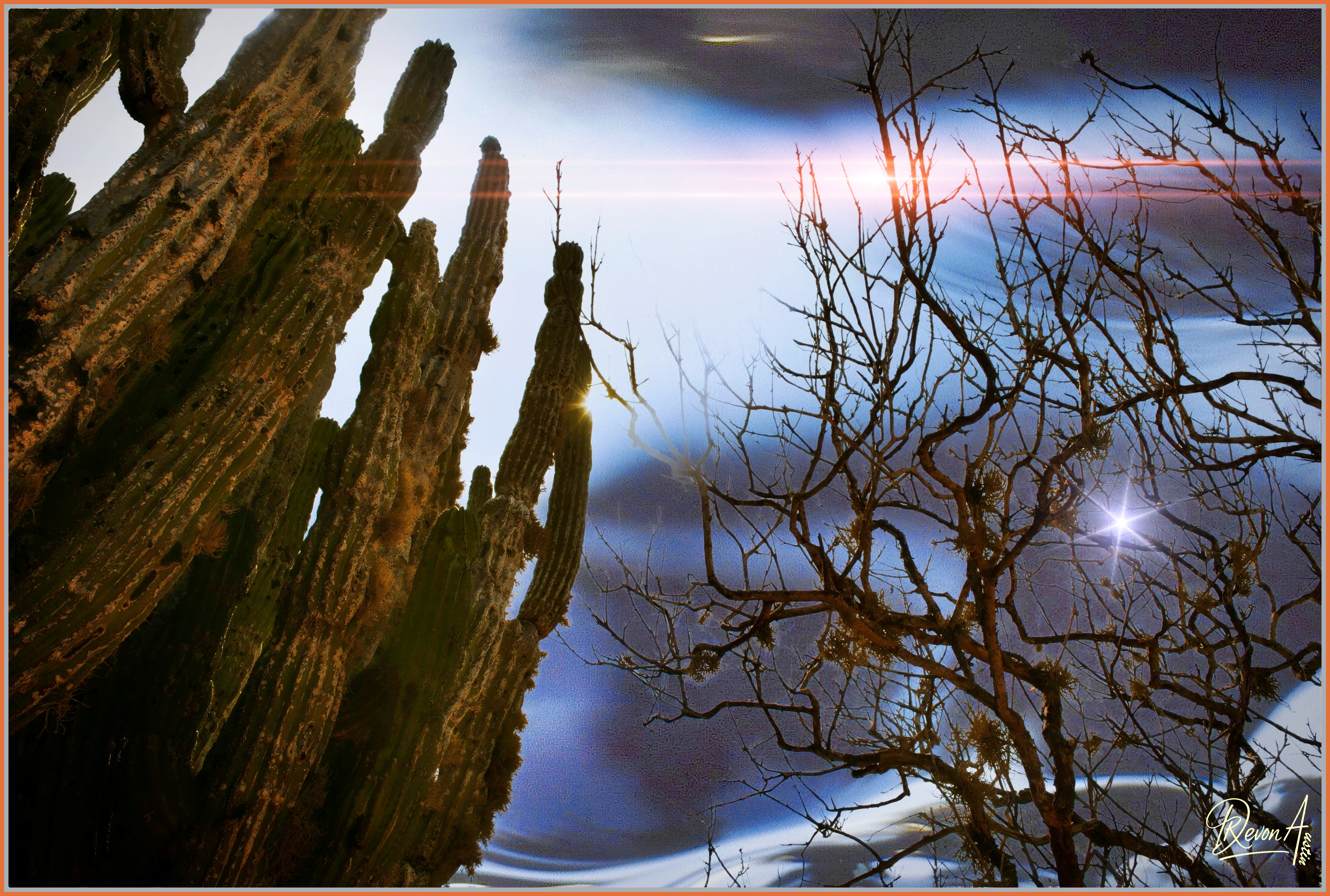 Cabo Sand by the Pacific