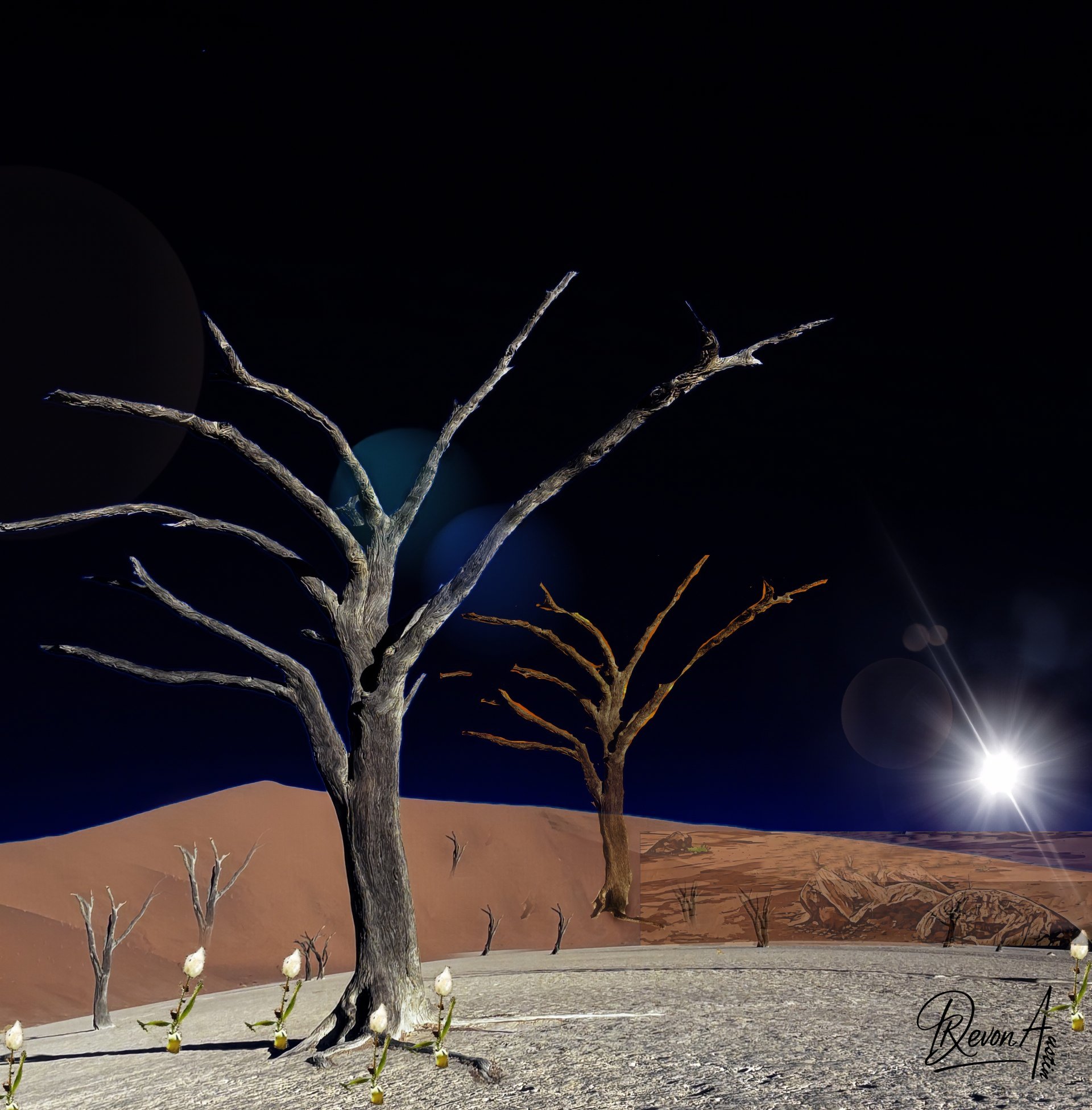 The Tree Series