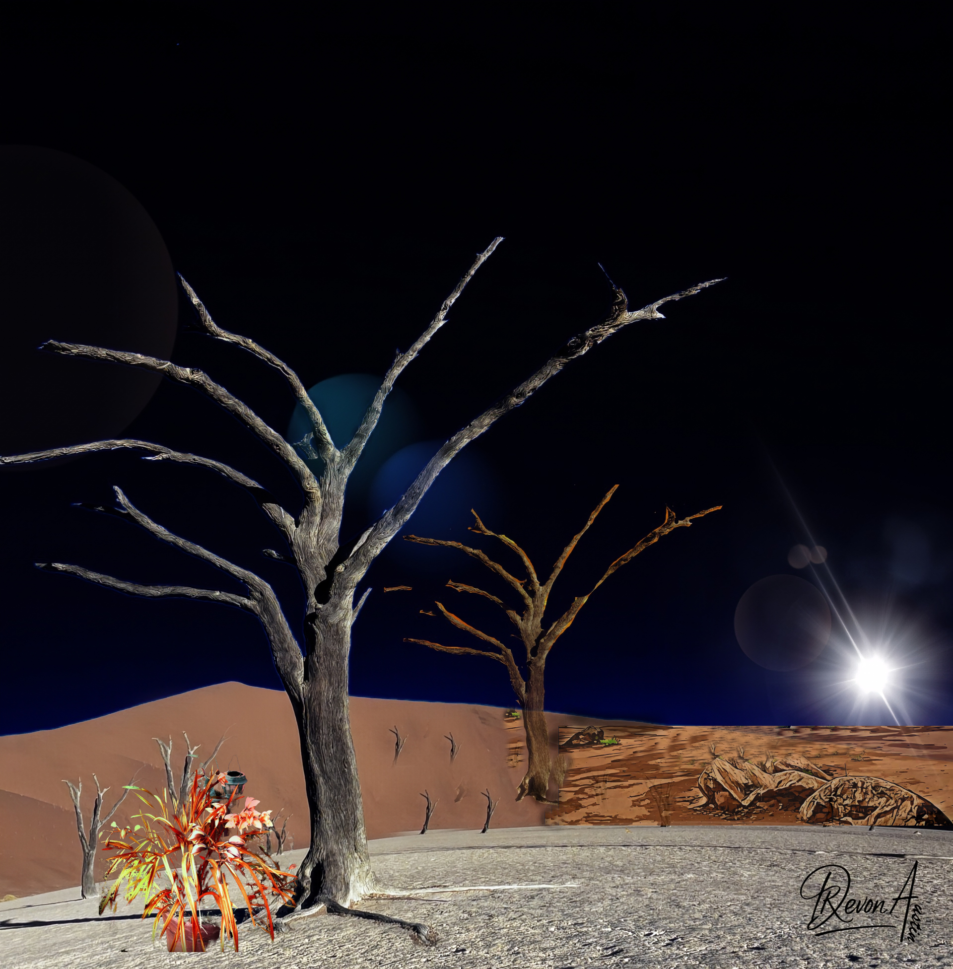 The Tree Series