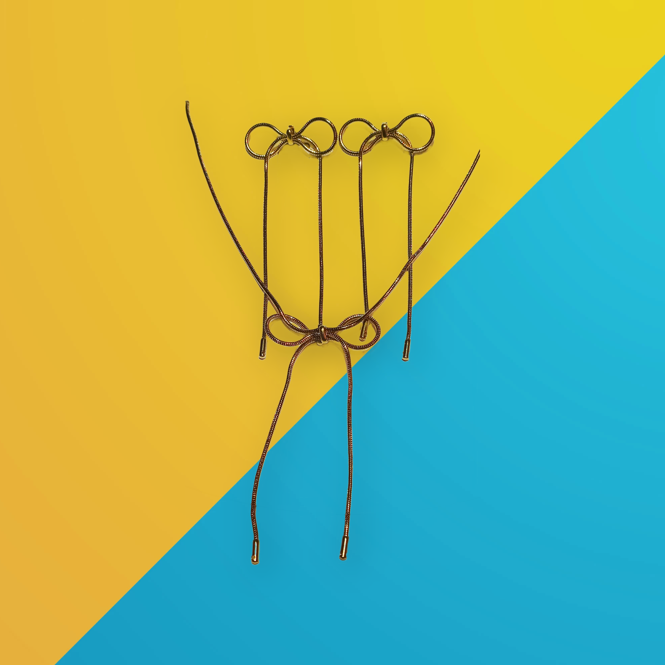 Brown Shoelaces Pair