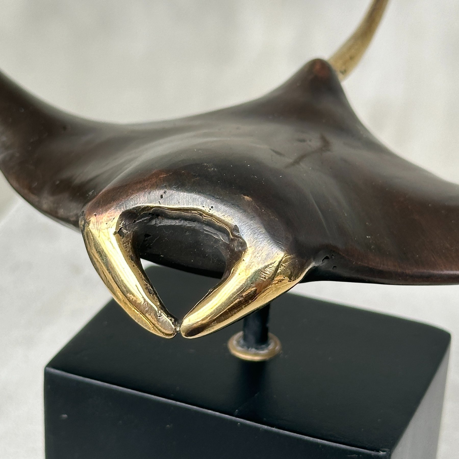 Bronze Manta Ray Sculpture on a Stand with Golden Accents - 11 cm 