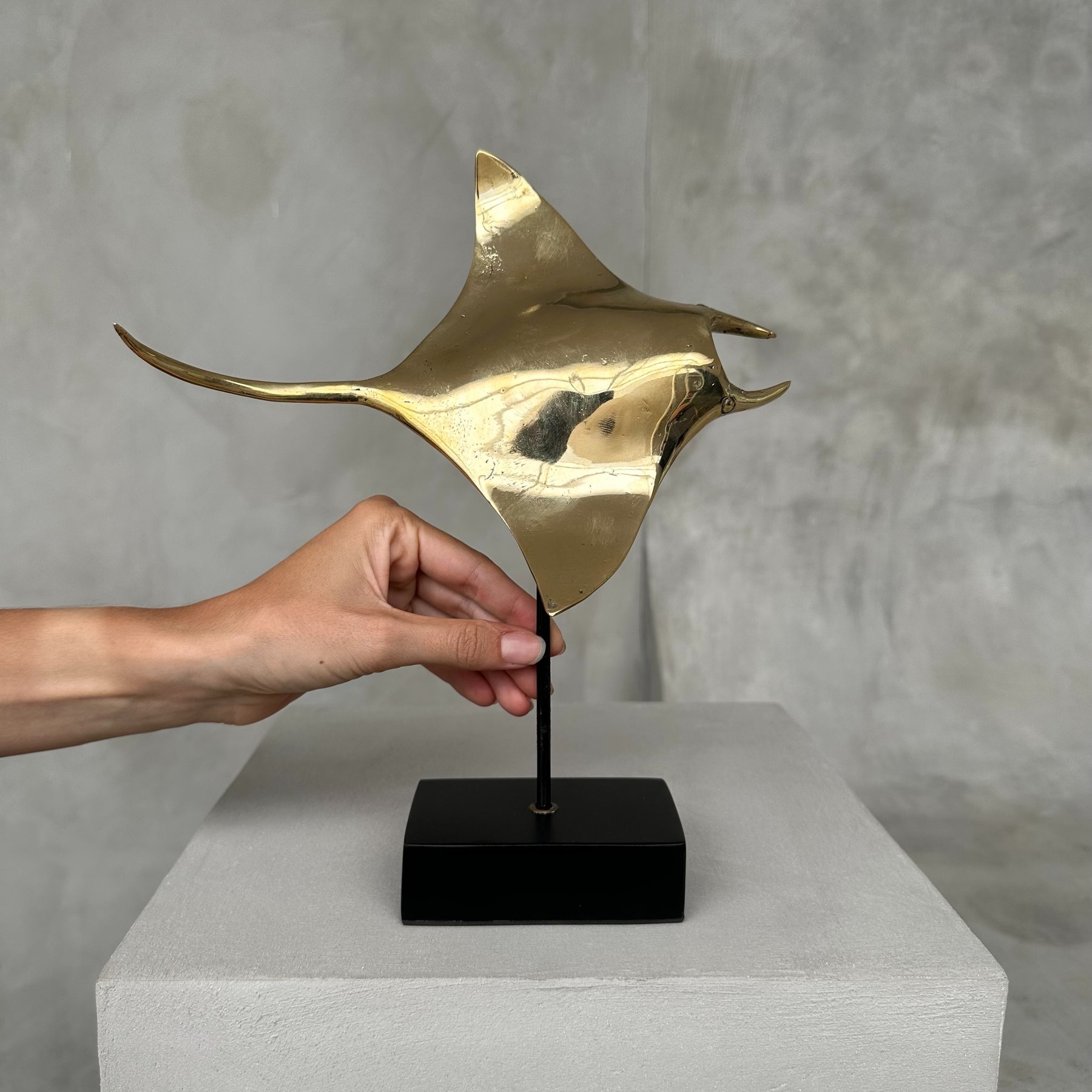 Bronze Manta Ray Sculpture - 28 cm