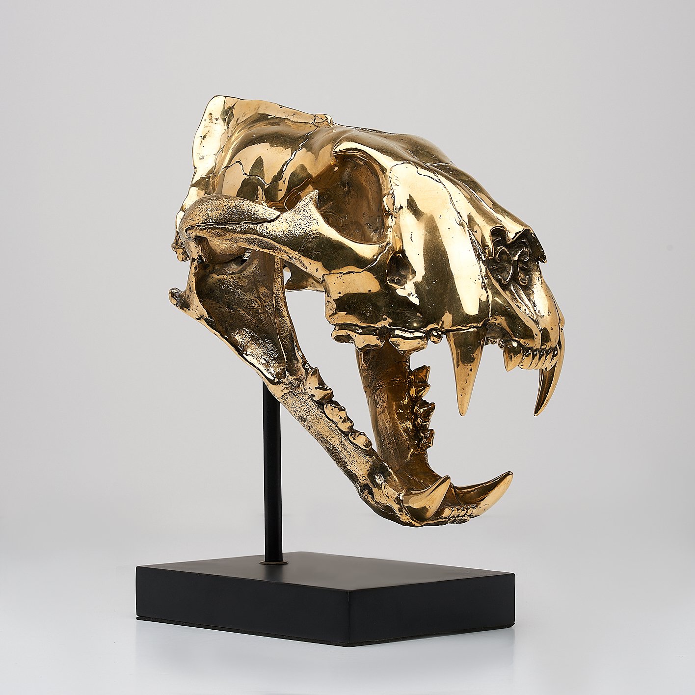 Sculpture, High quality, bronze-cast Sumatran Tiger skull - Panthera tigris sumatrae - 29 cm - Bronze