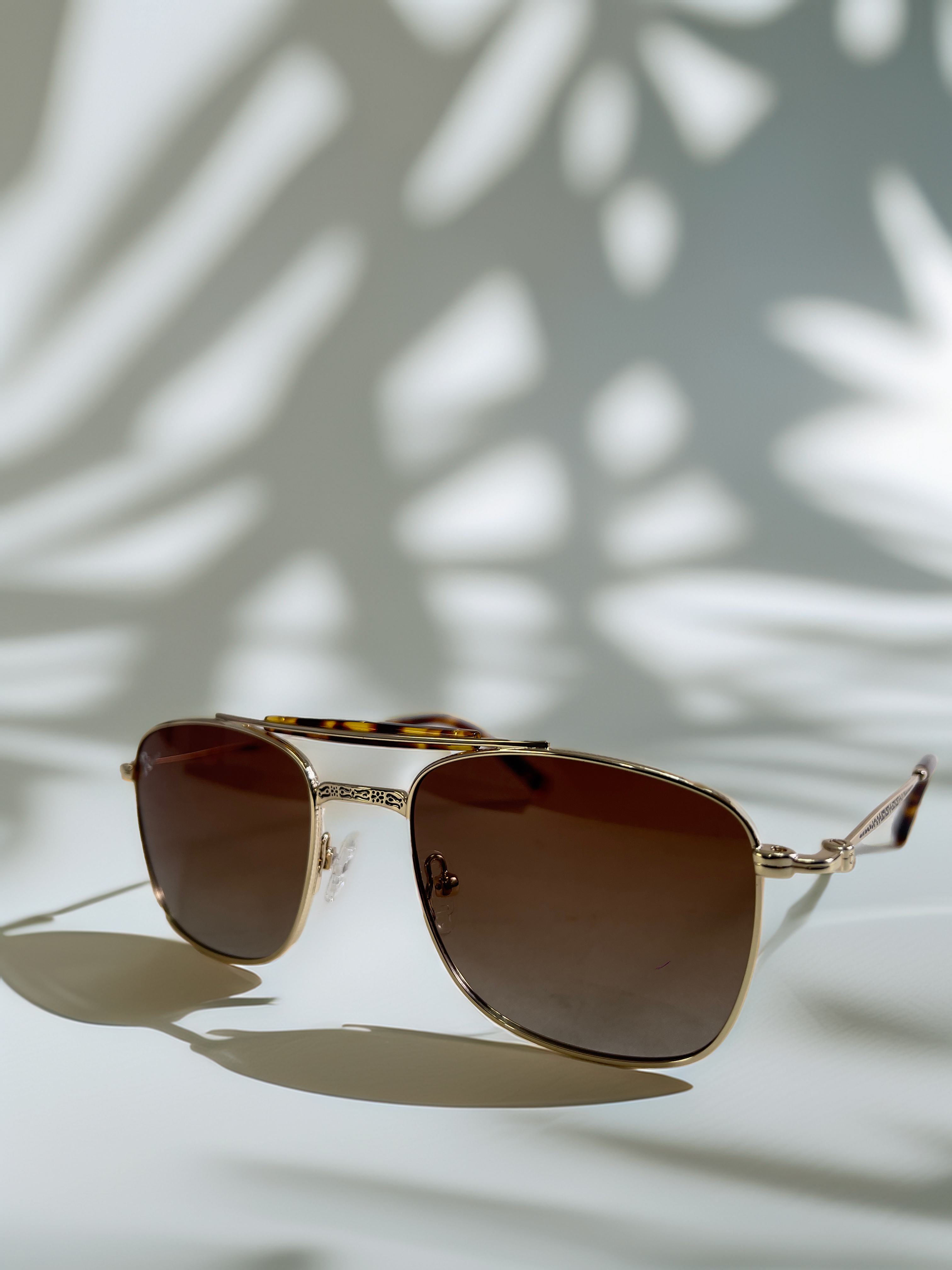 Hawk - brown