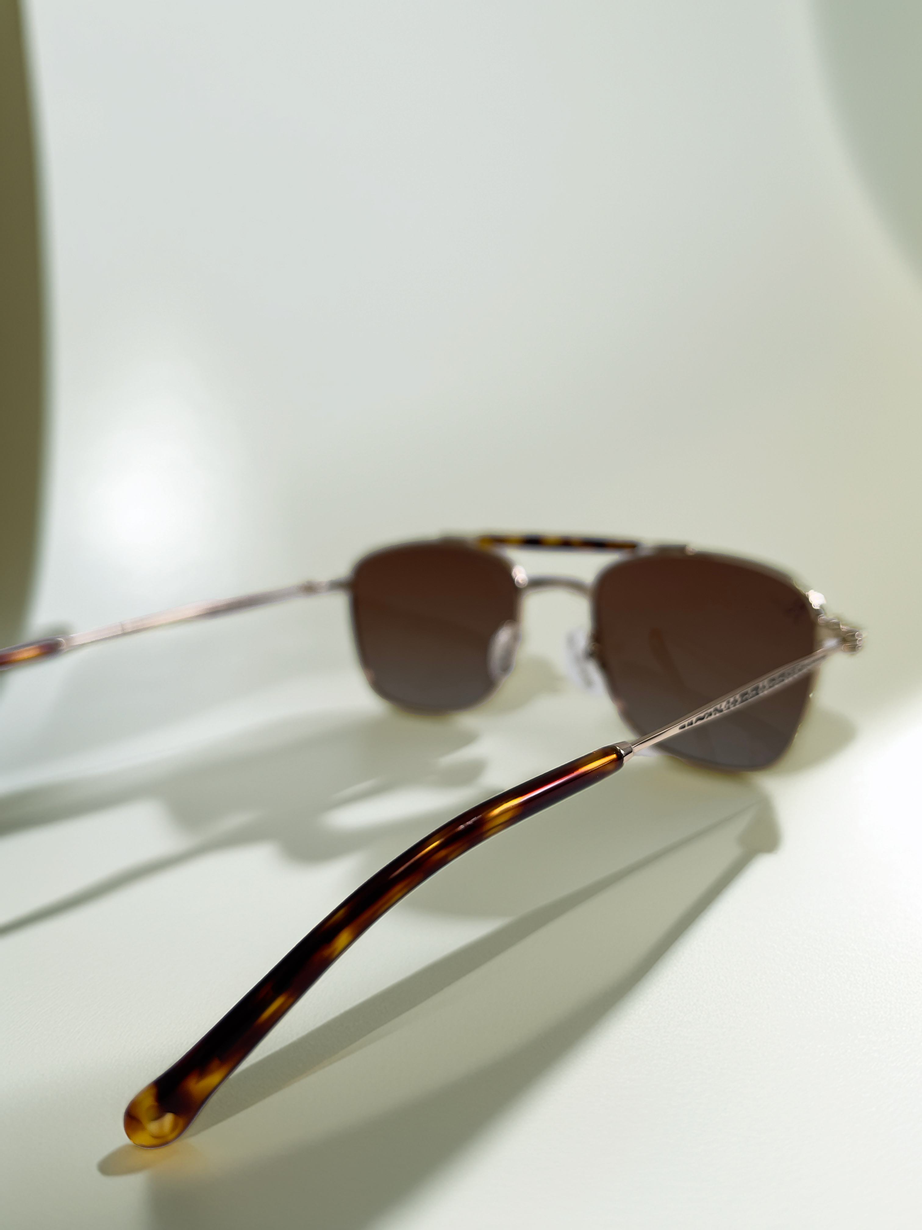 Hawk - brown