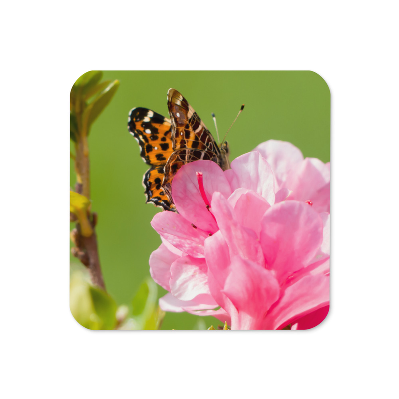 Sous-verre en liège « Instant de Printemps » – Papillon sur Fleur d'Azalée en Photographie Macro | Accessoire de Table Nature