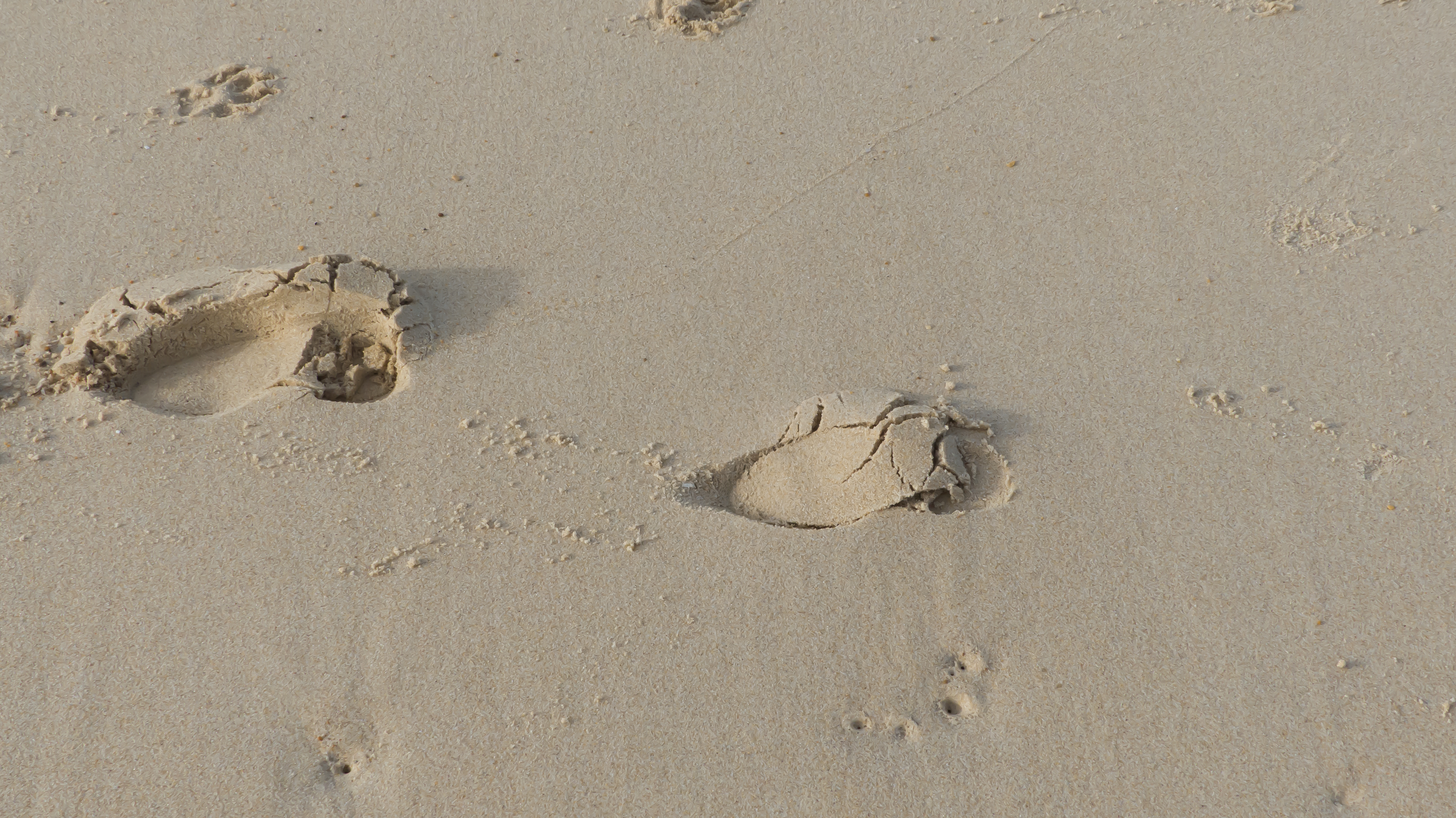 Pas sable