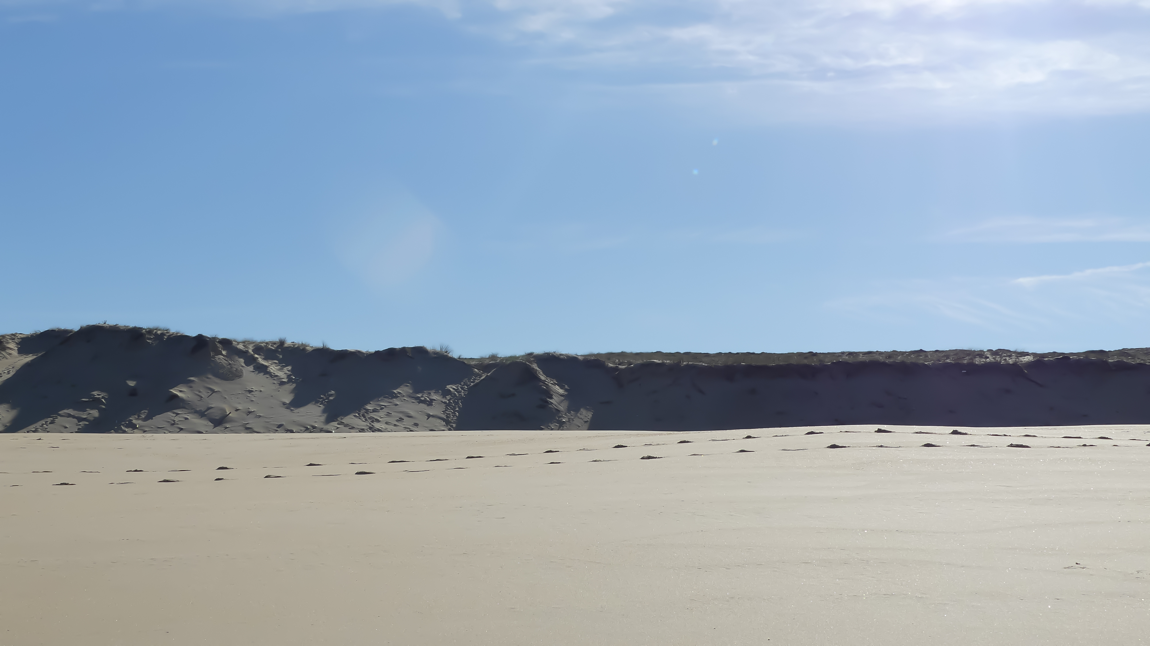 Dune