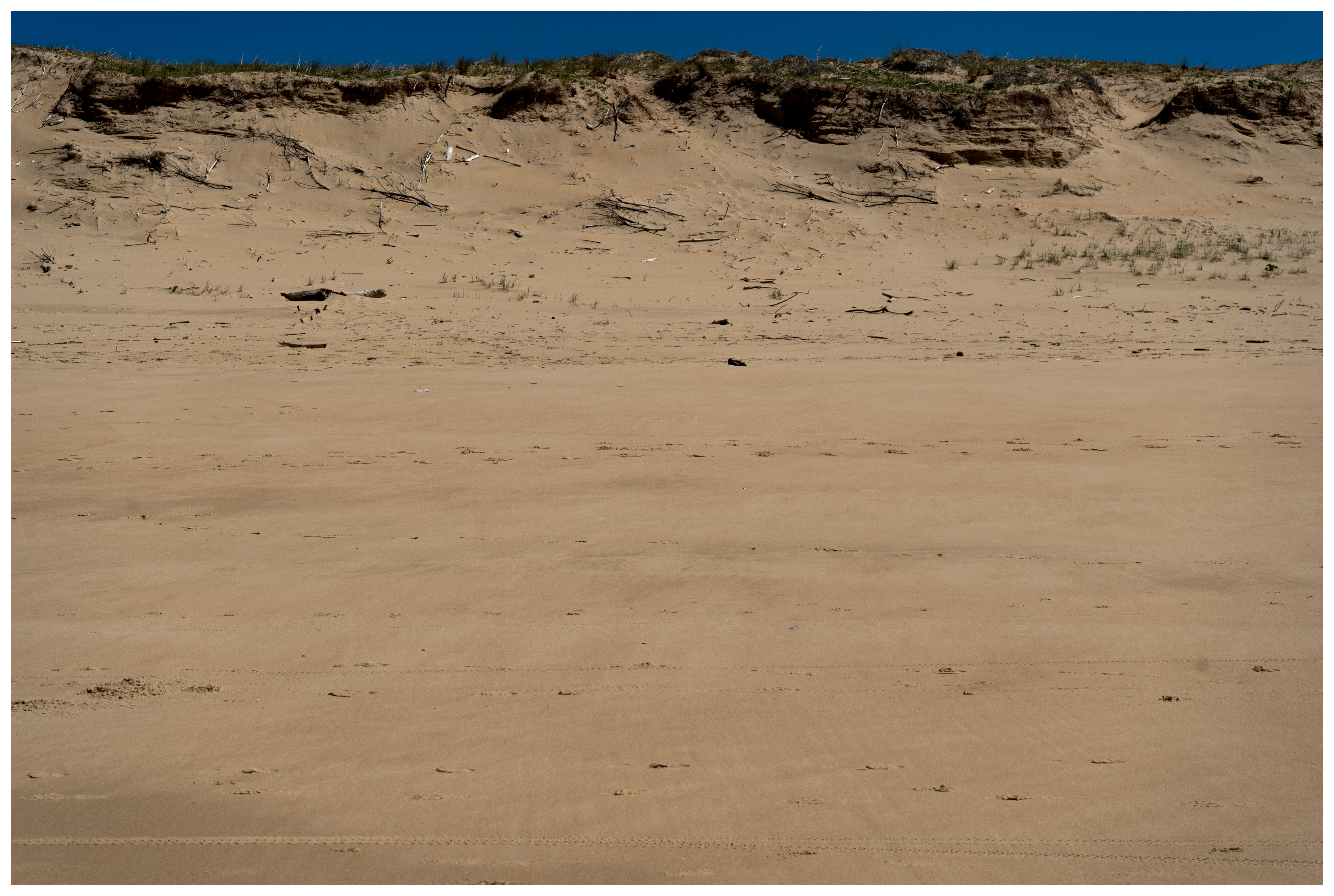Carte postale de la montagne de sable à Vieux Boucau