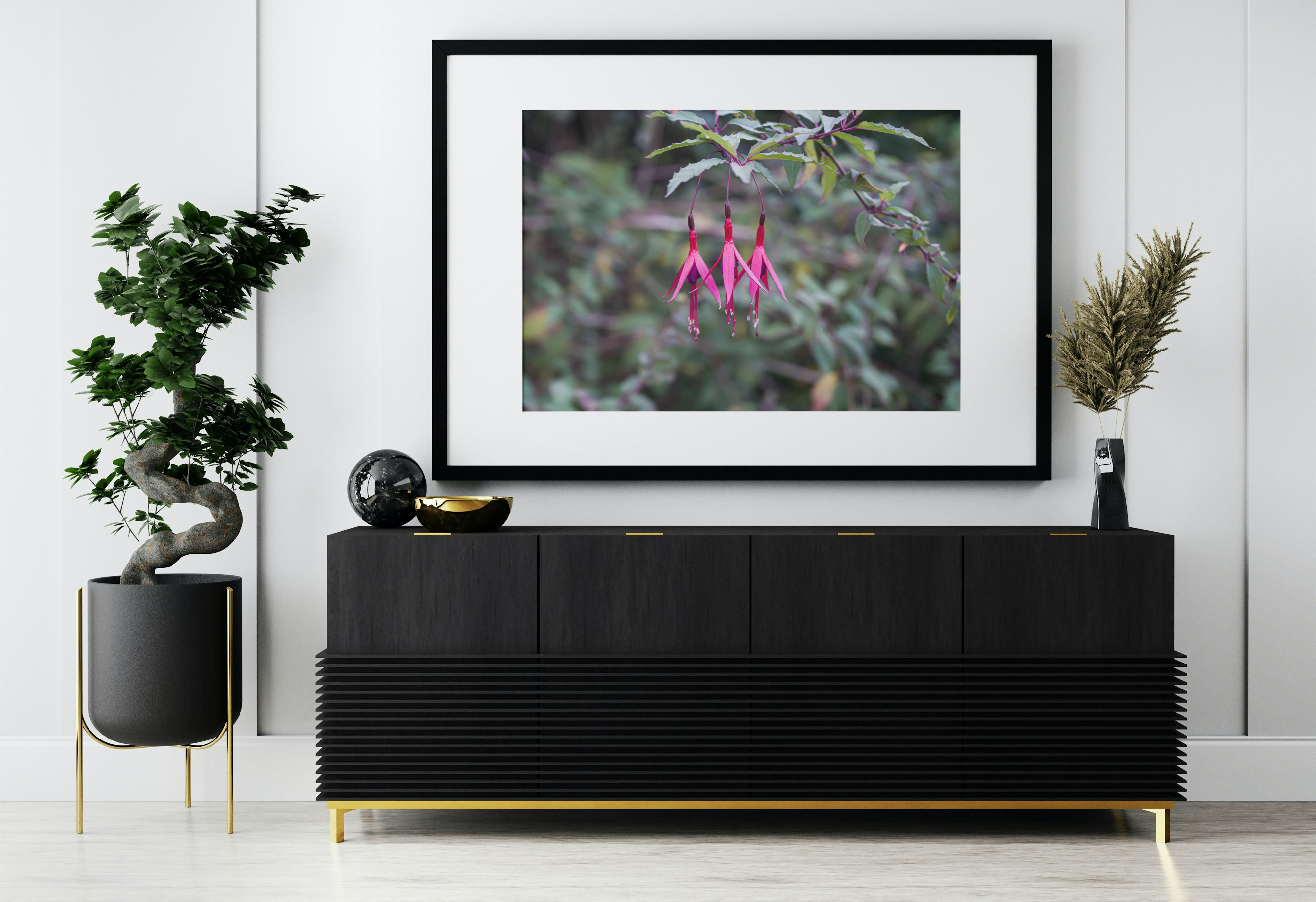 Trois belles fleurs de fuchsias