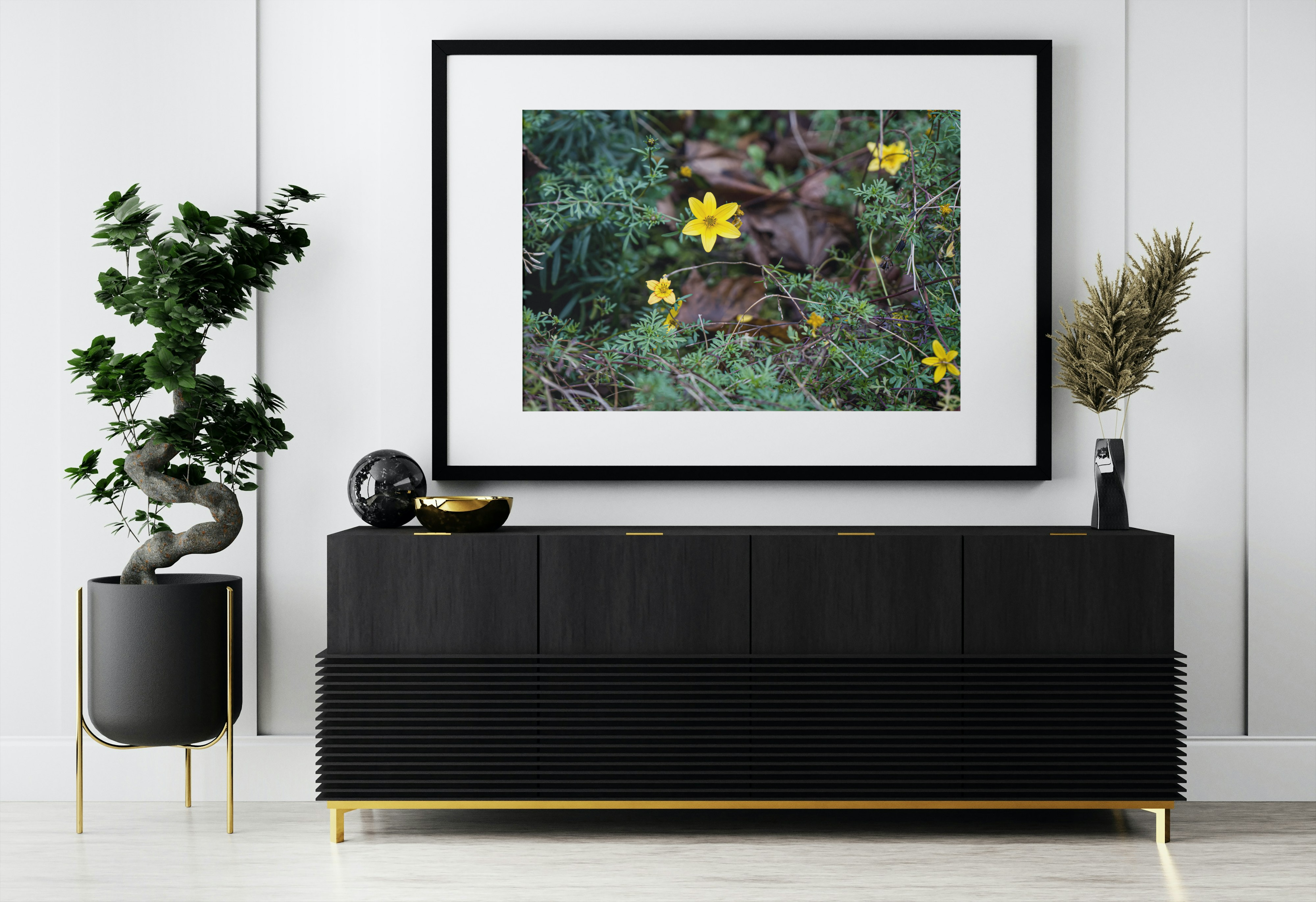 Fleur bidens