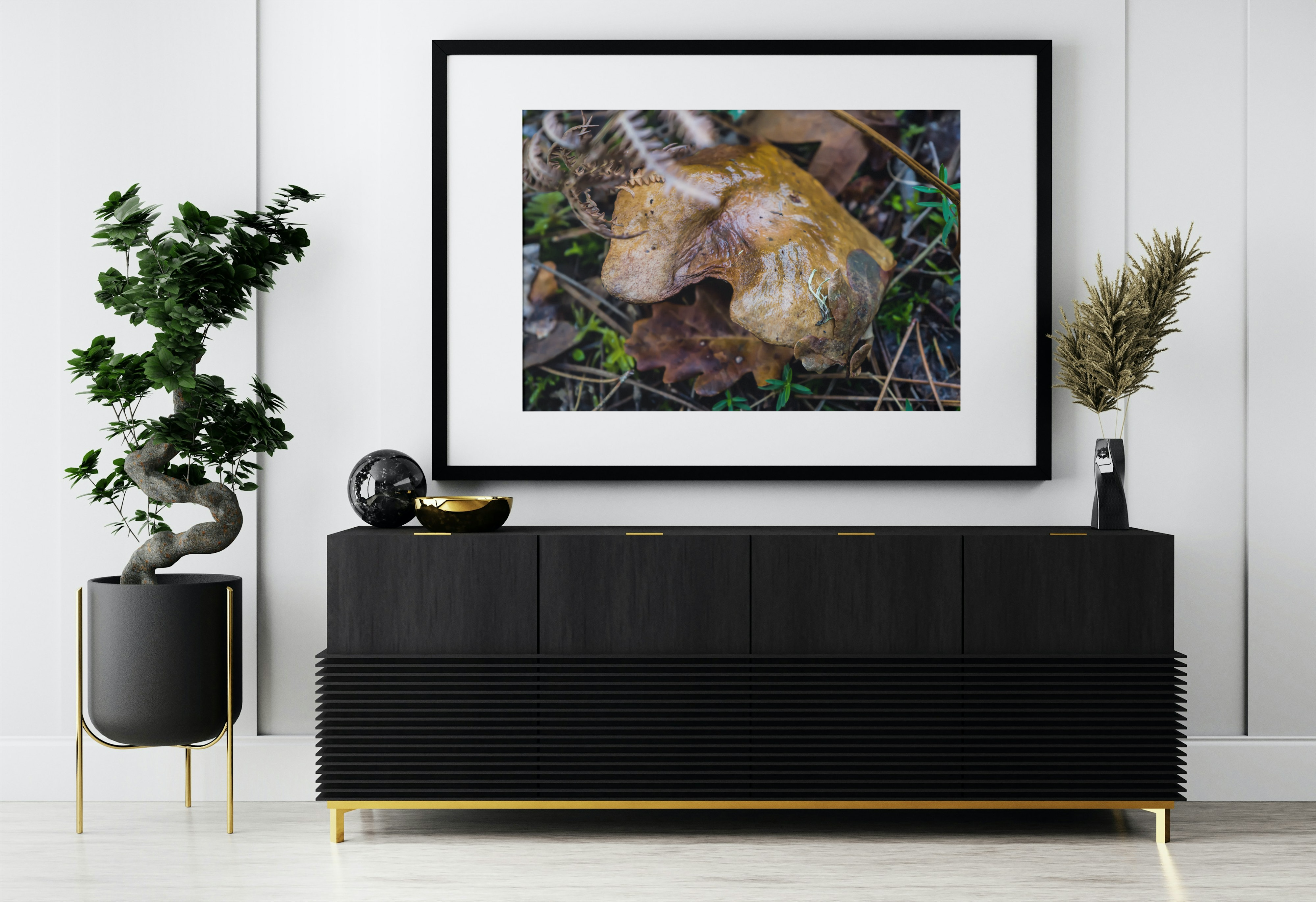 Champignon marron forme abstraite