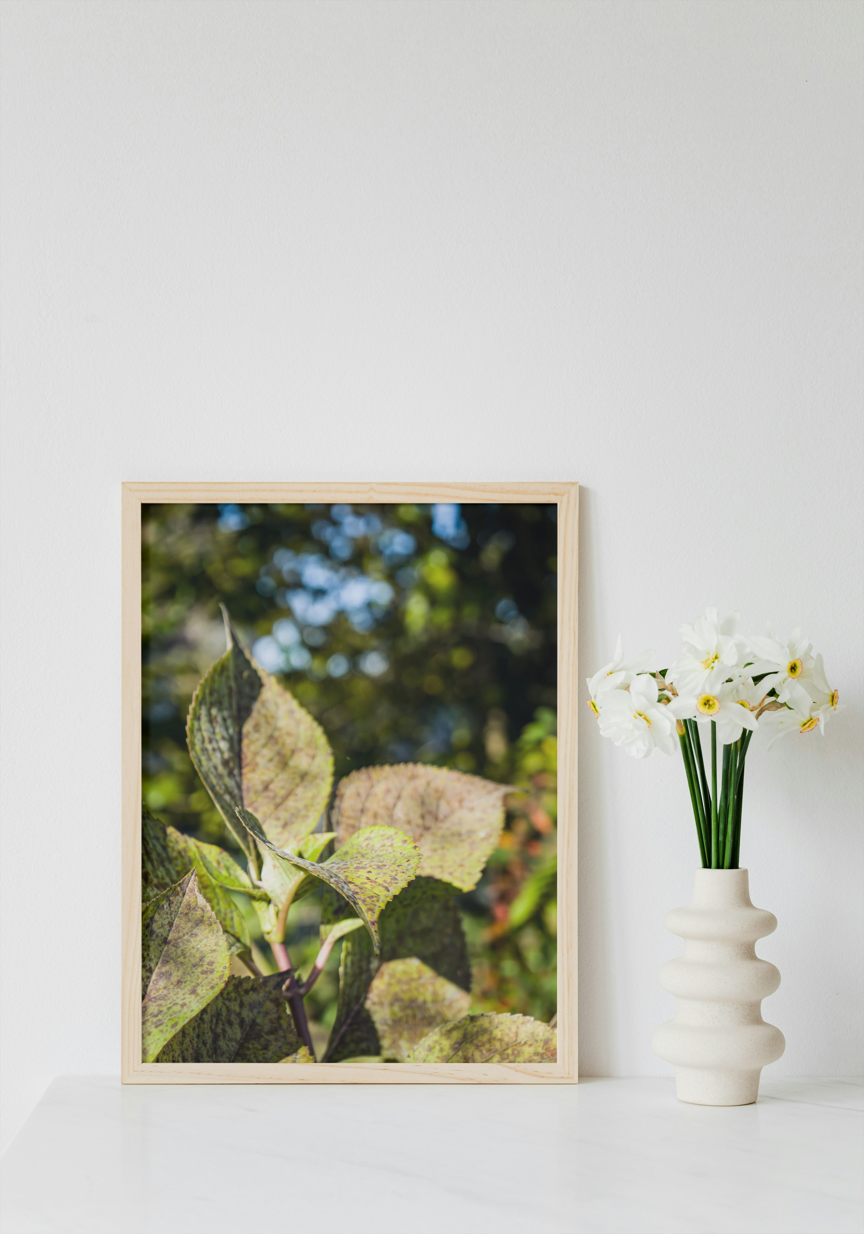 Feuilles Hortensia portrait