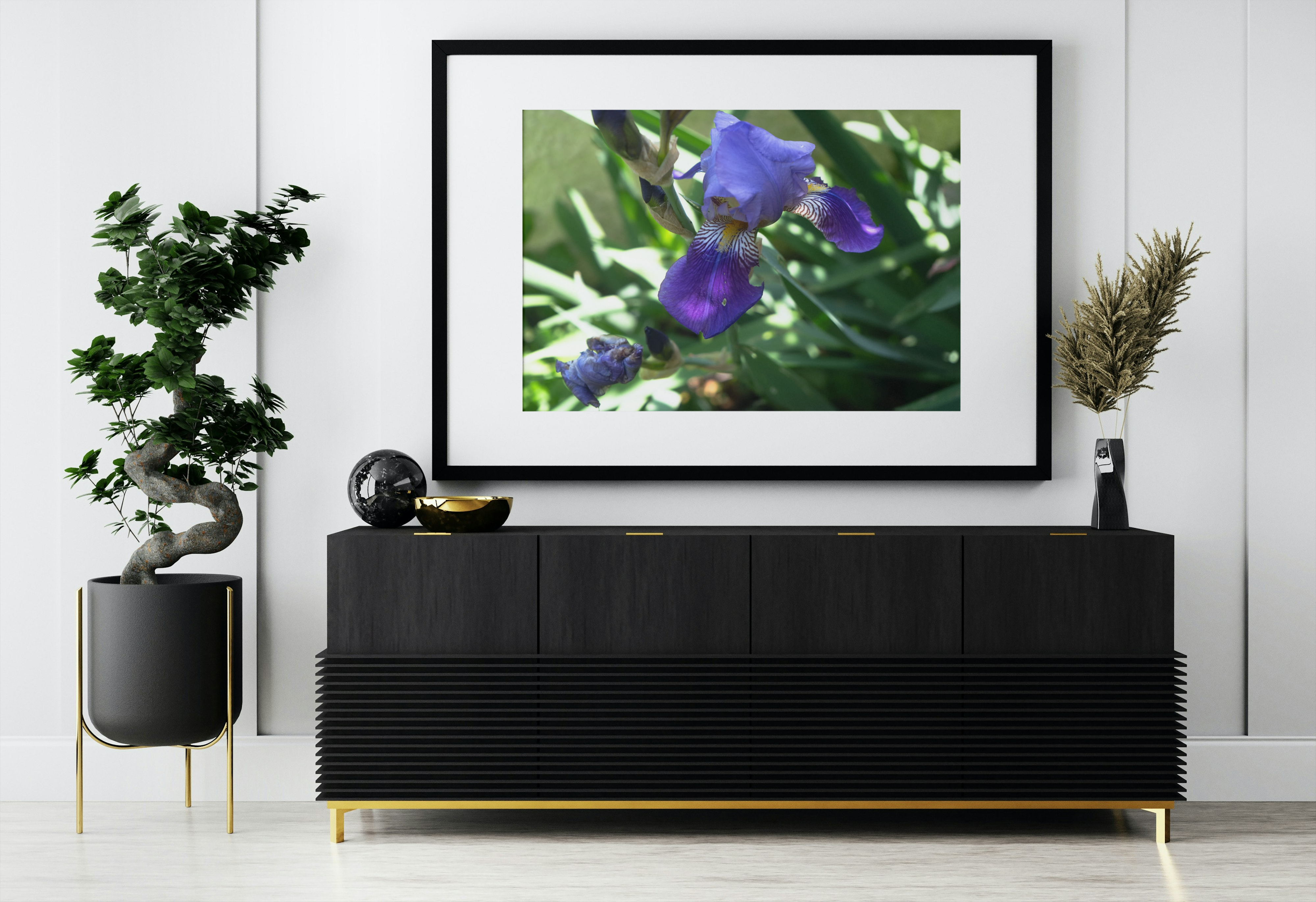 Photo d'un iris violet