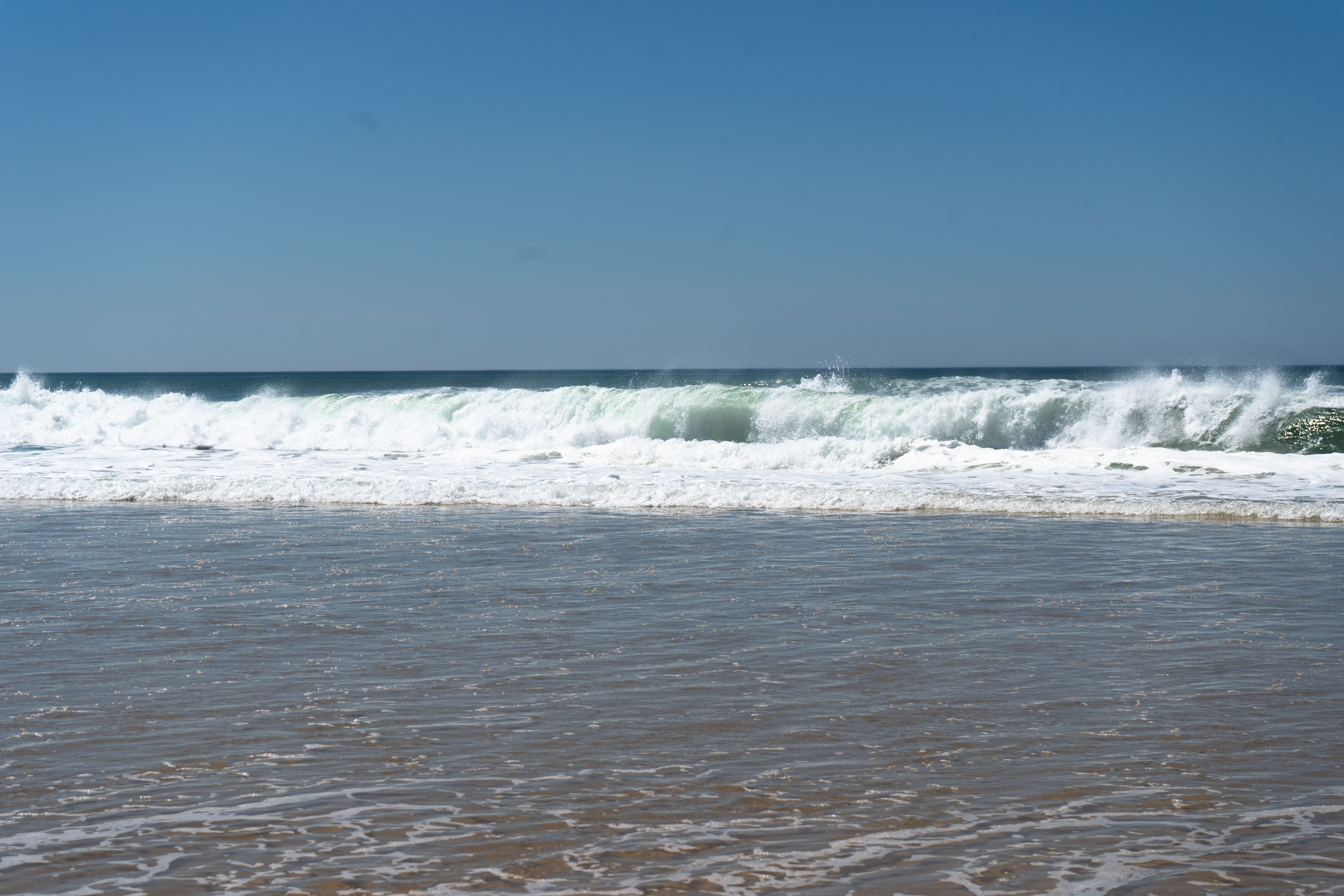 Magnifique rouleau d'une vague