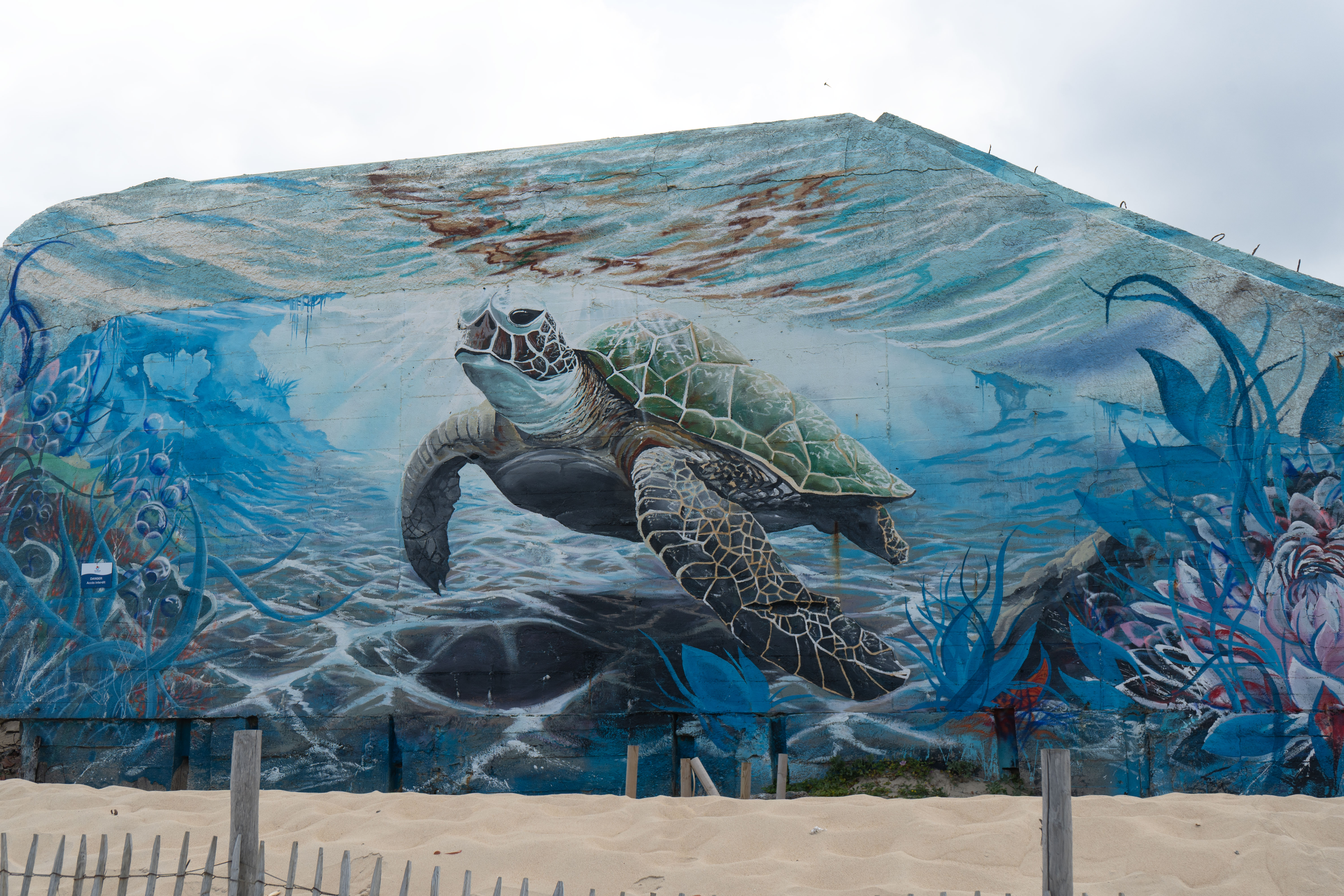 Blockhaus tortue