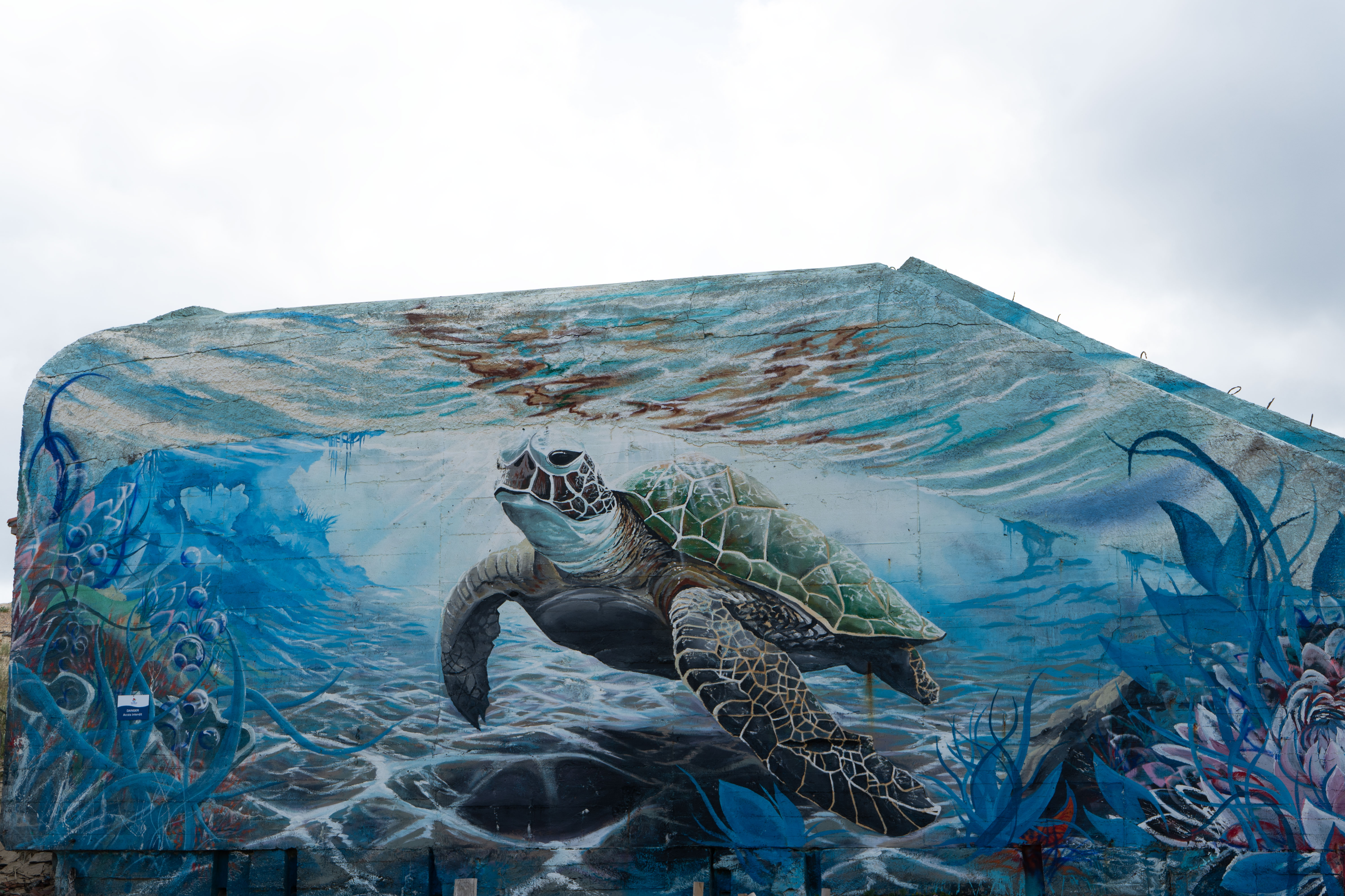 Blockhaus tortue plage de Vieux Boucau