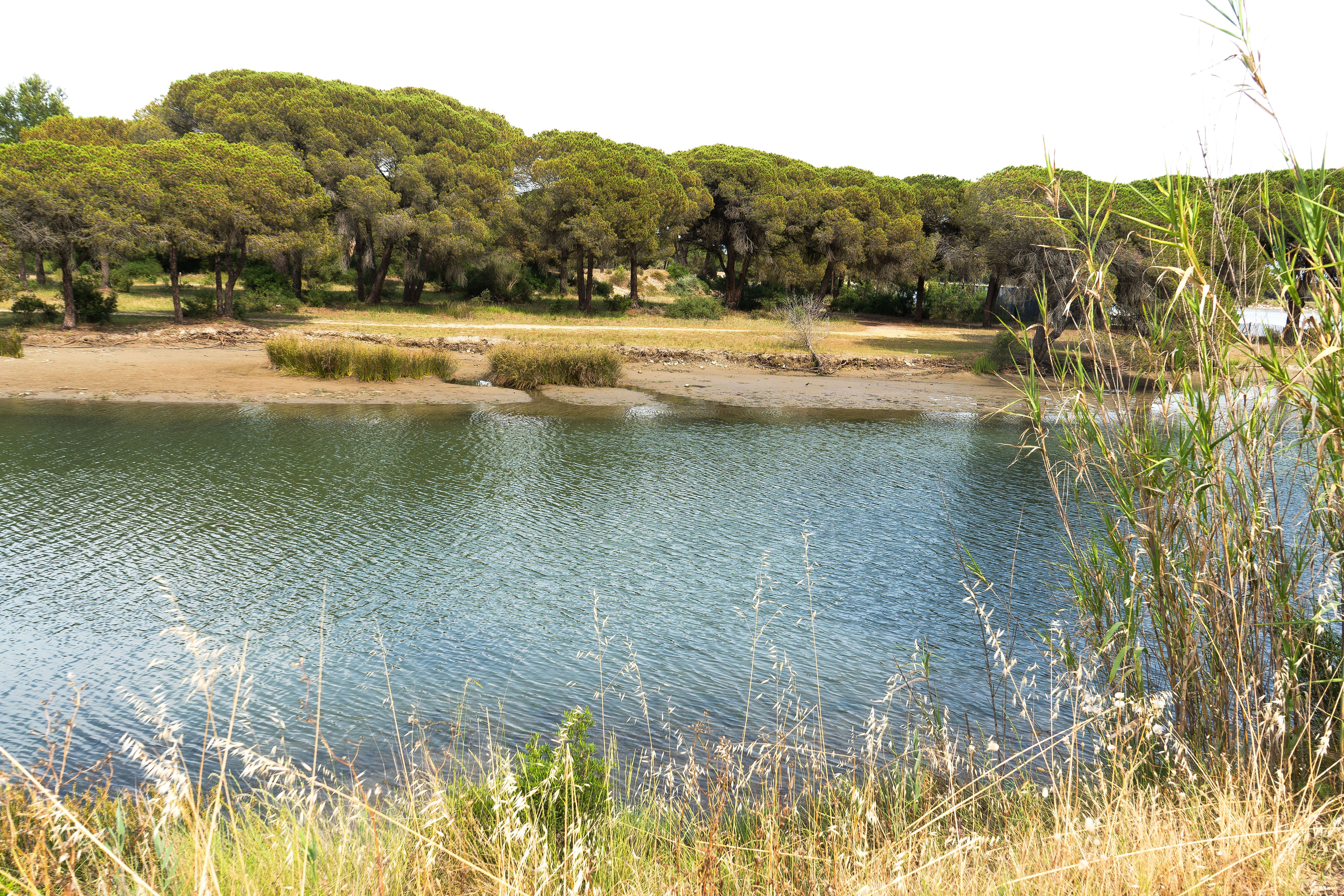 Etang du Ponant