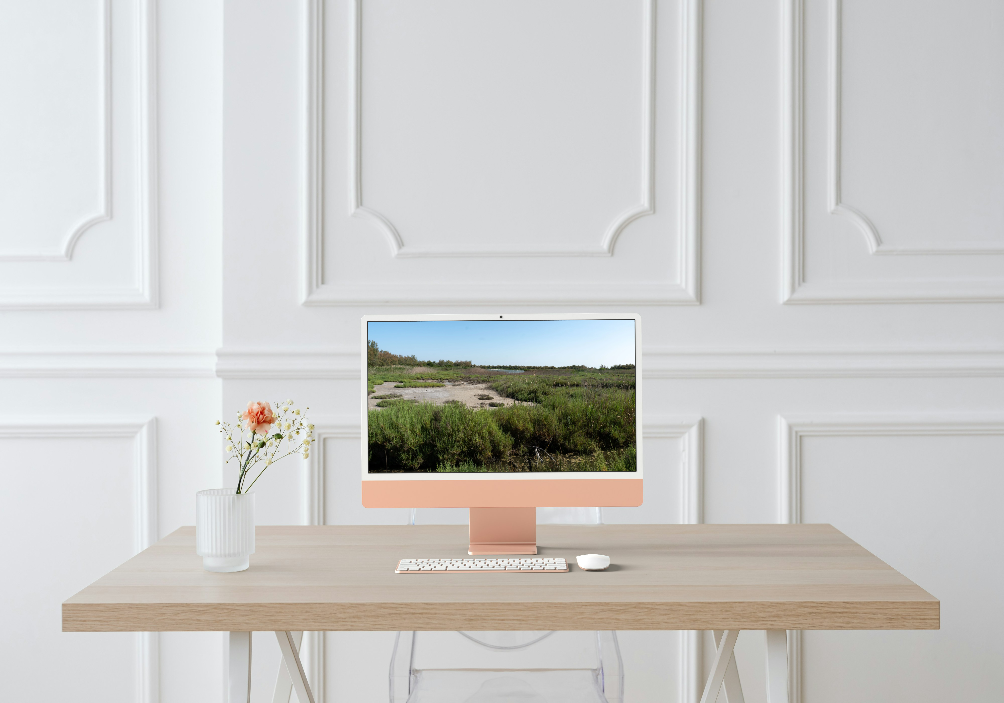 Photo paysage de camargue au parc ornithologique du  Pont de GAU