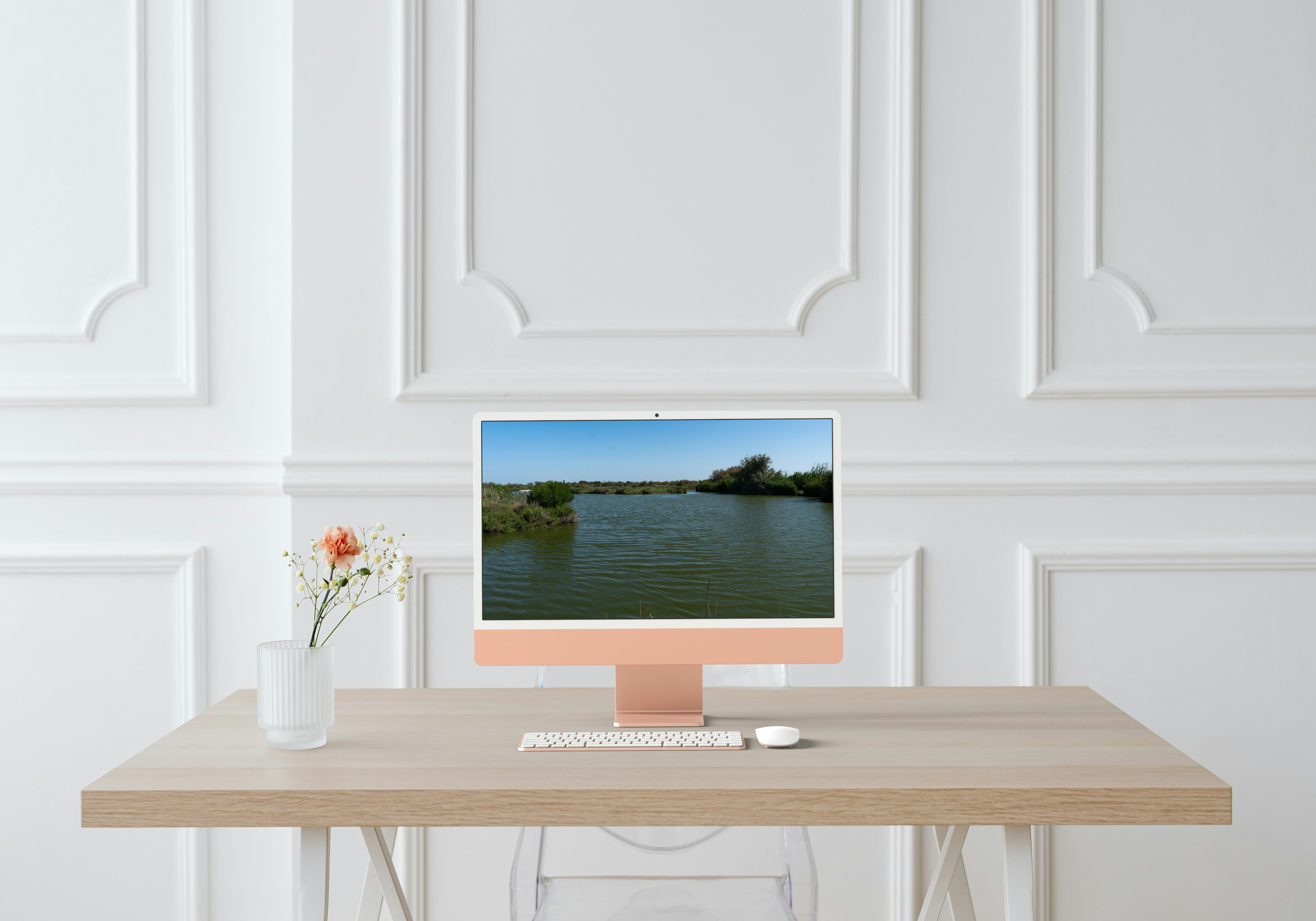 Photo paysage végétal de camargue au parc ornithologique du  Pont de GAU