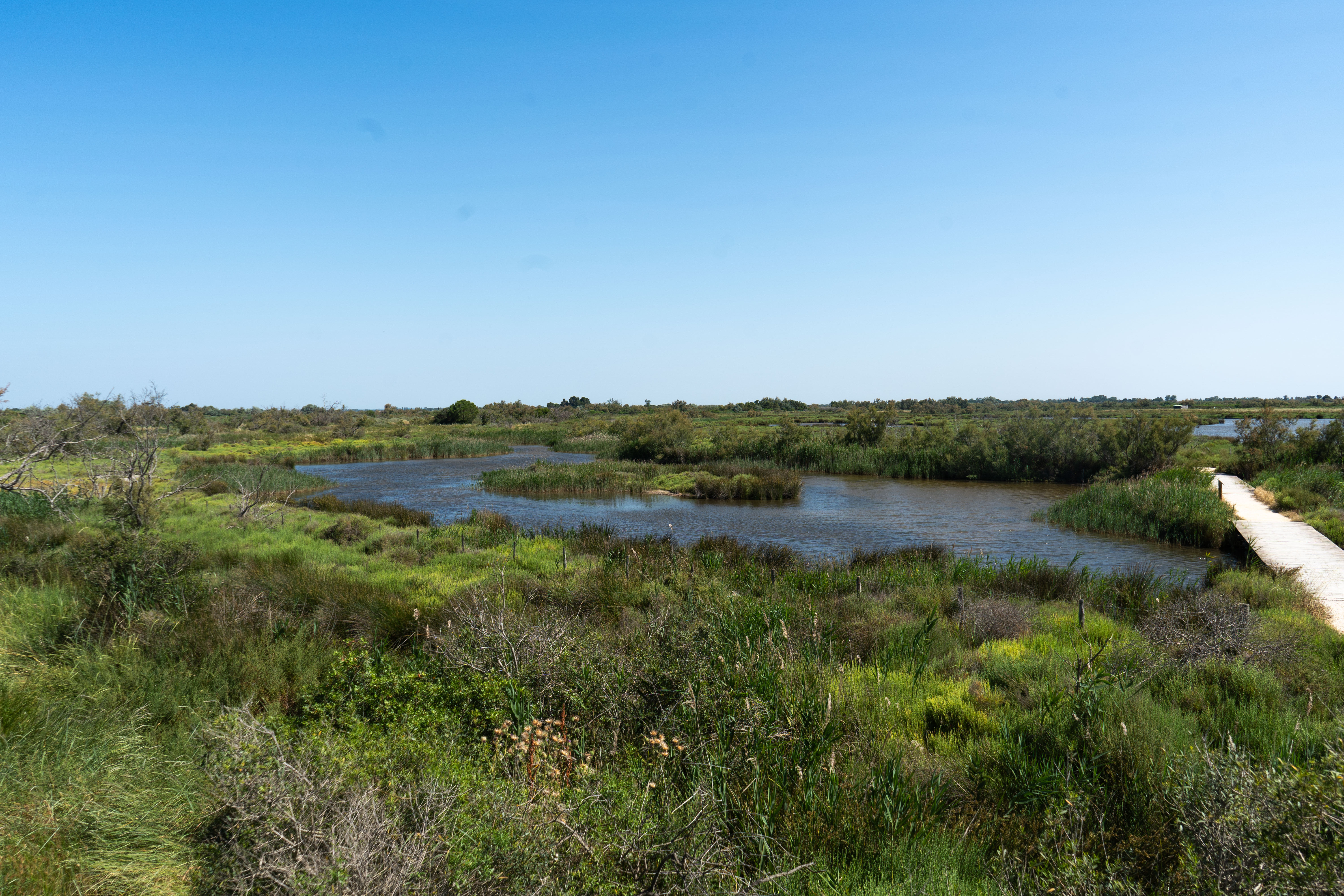 Photo paysage nature et sauvage du parc ornithologique du pont de Gau