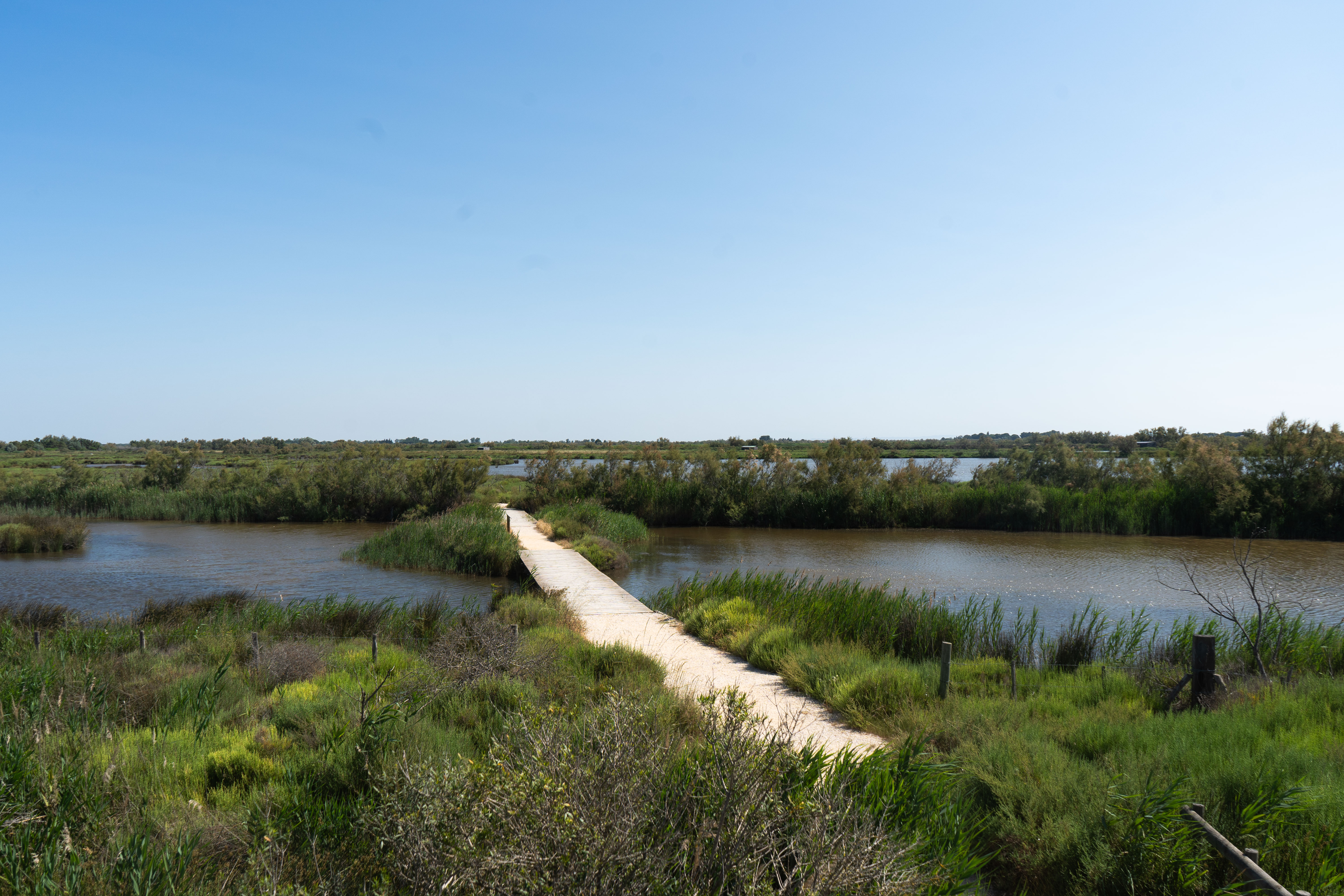 Photo  autre vue paysage nature et sauvage du parc ornithologique du pont de Gau