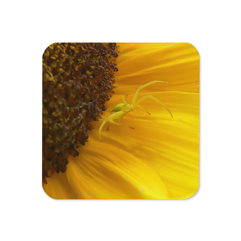 Sous-verre en liège « Gardienne du Tournesol » – Araignée sur Fleur de Tournesol en Photographie Macro
