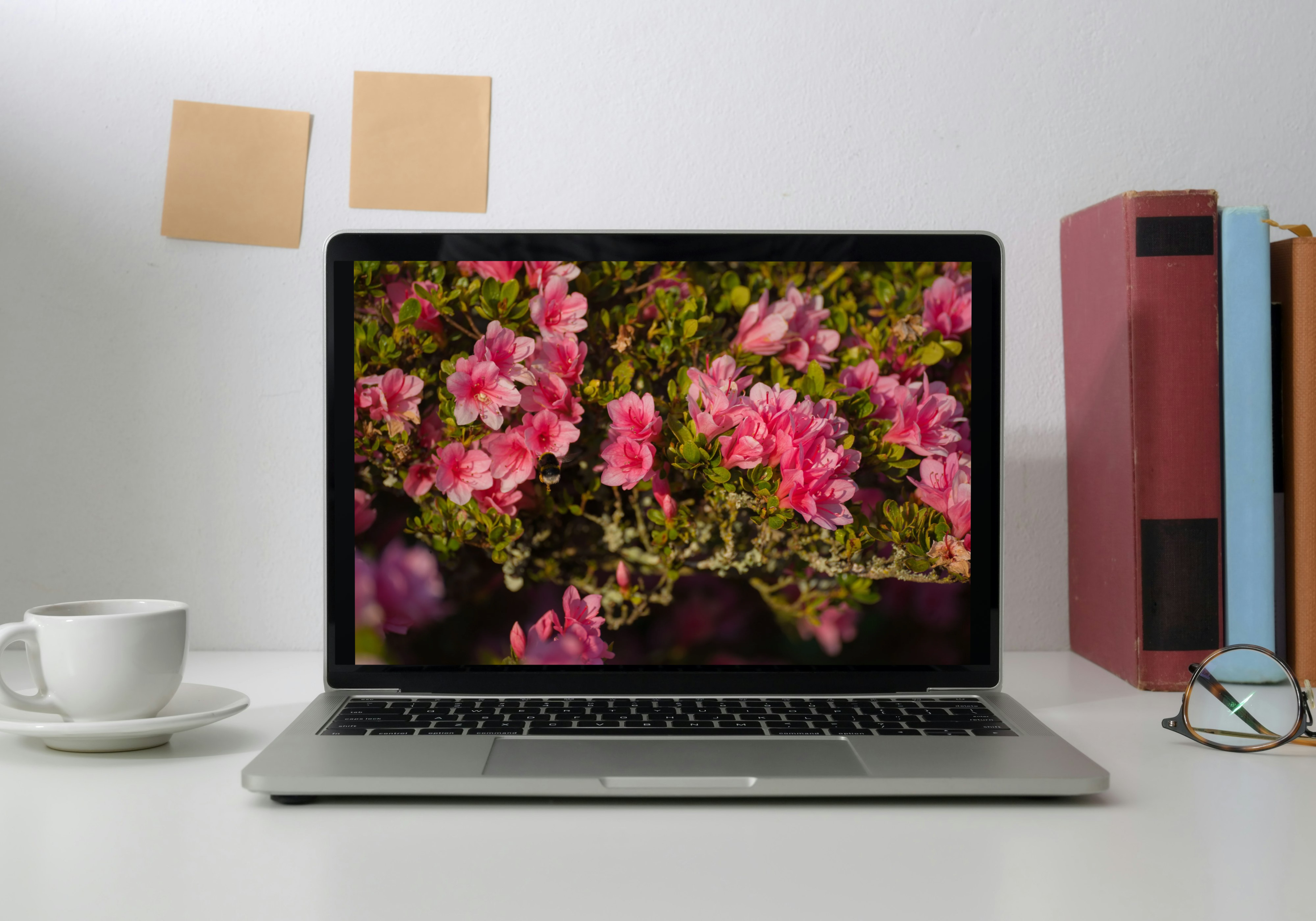 Bourdon en plein vol sur azalée rose – Photo macro nature élégante