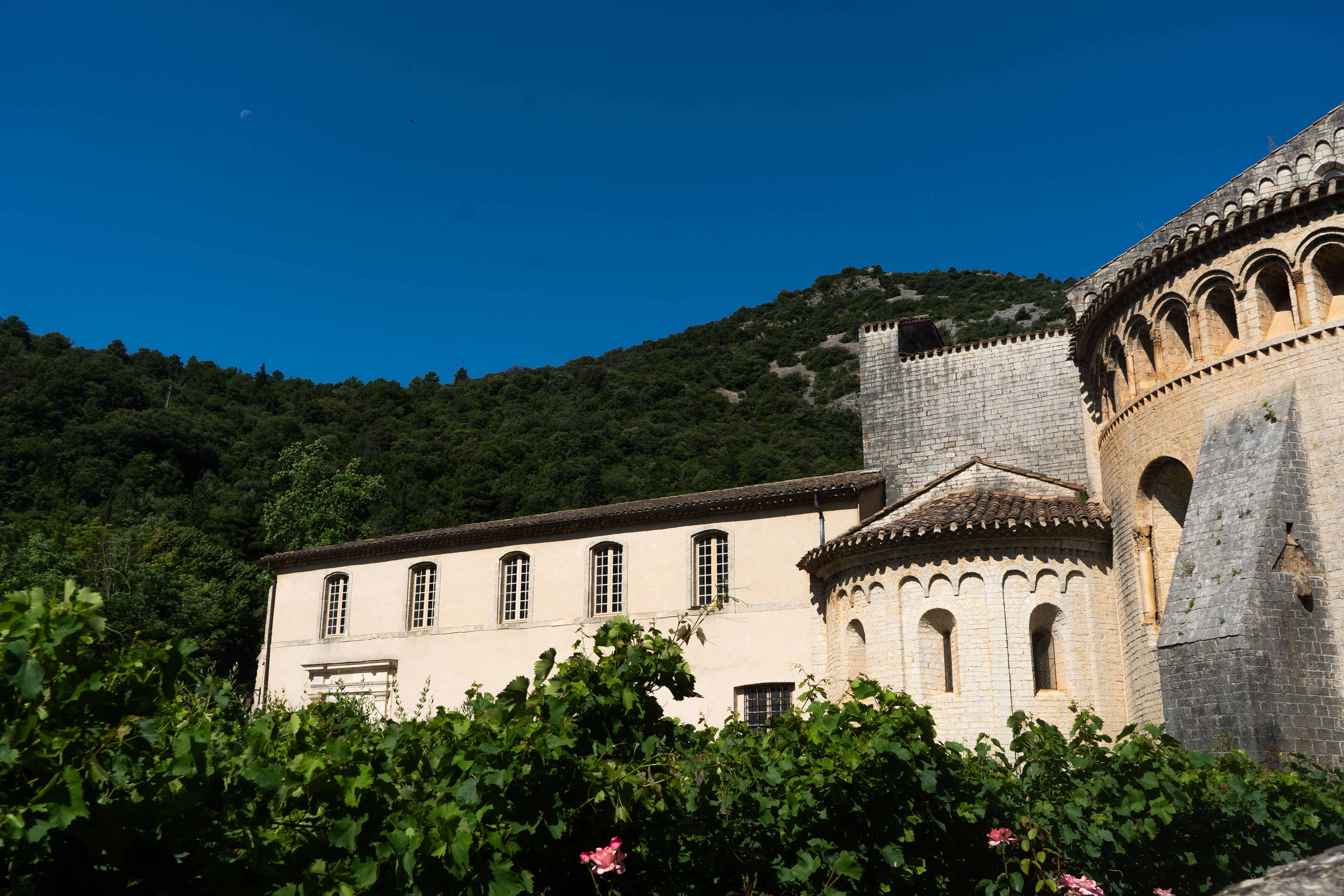 Abbaye de Gellone – Sérénité Romane au Cœur de la Nature
