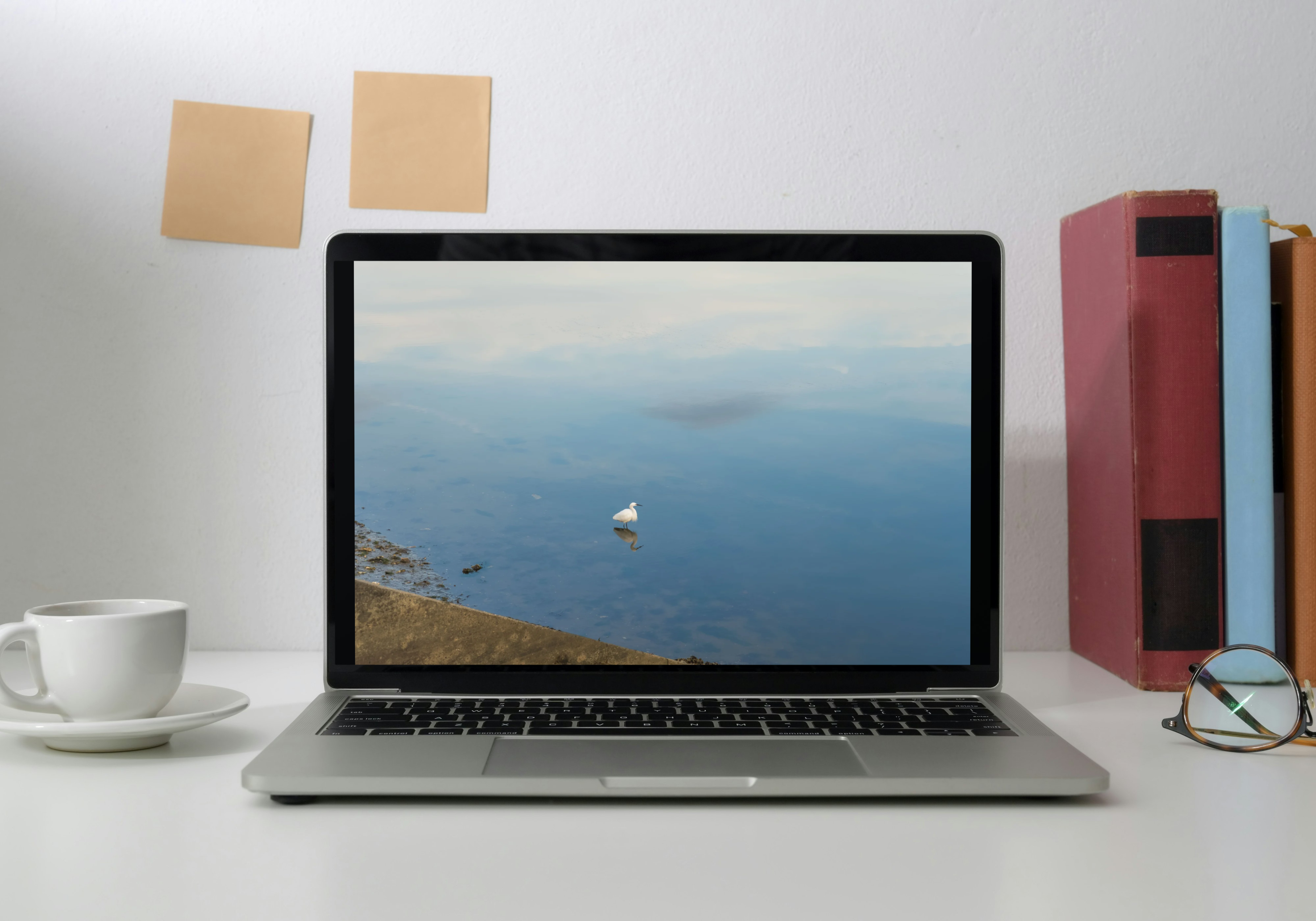 Photo d’art – Aigrette élégante sur le lac de Vieux-Boucau, ambiance minimaliste