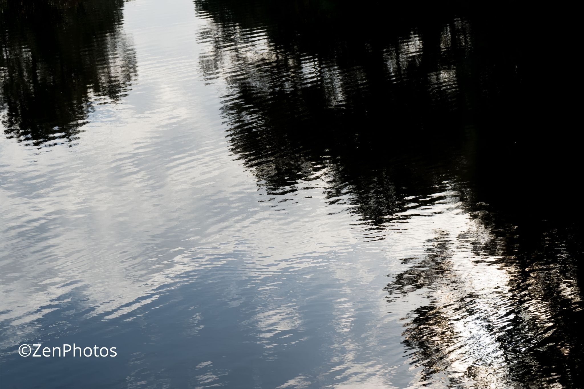 Reflet du ciel et des pins dans l’eau calme