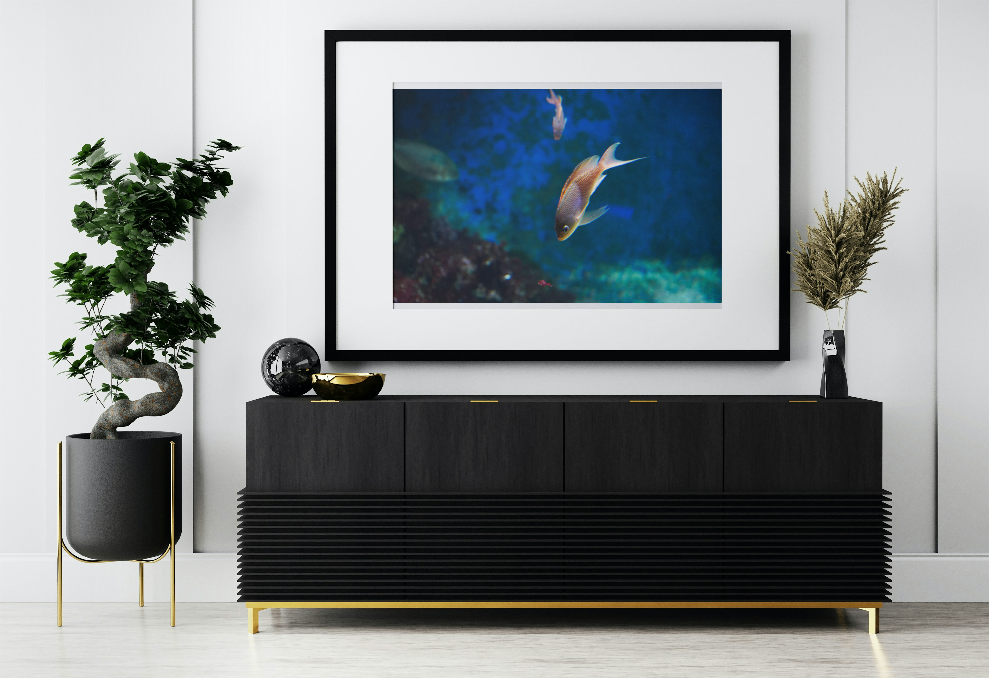 Chromis en Plongée – Instant Marin au Seaquarium du Grau-du-Roi