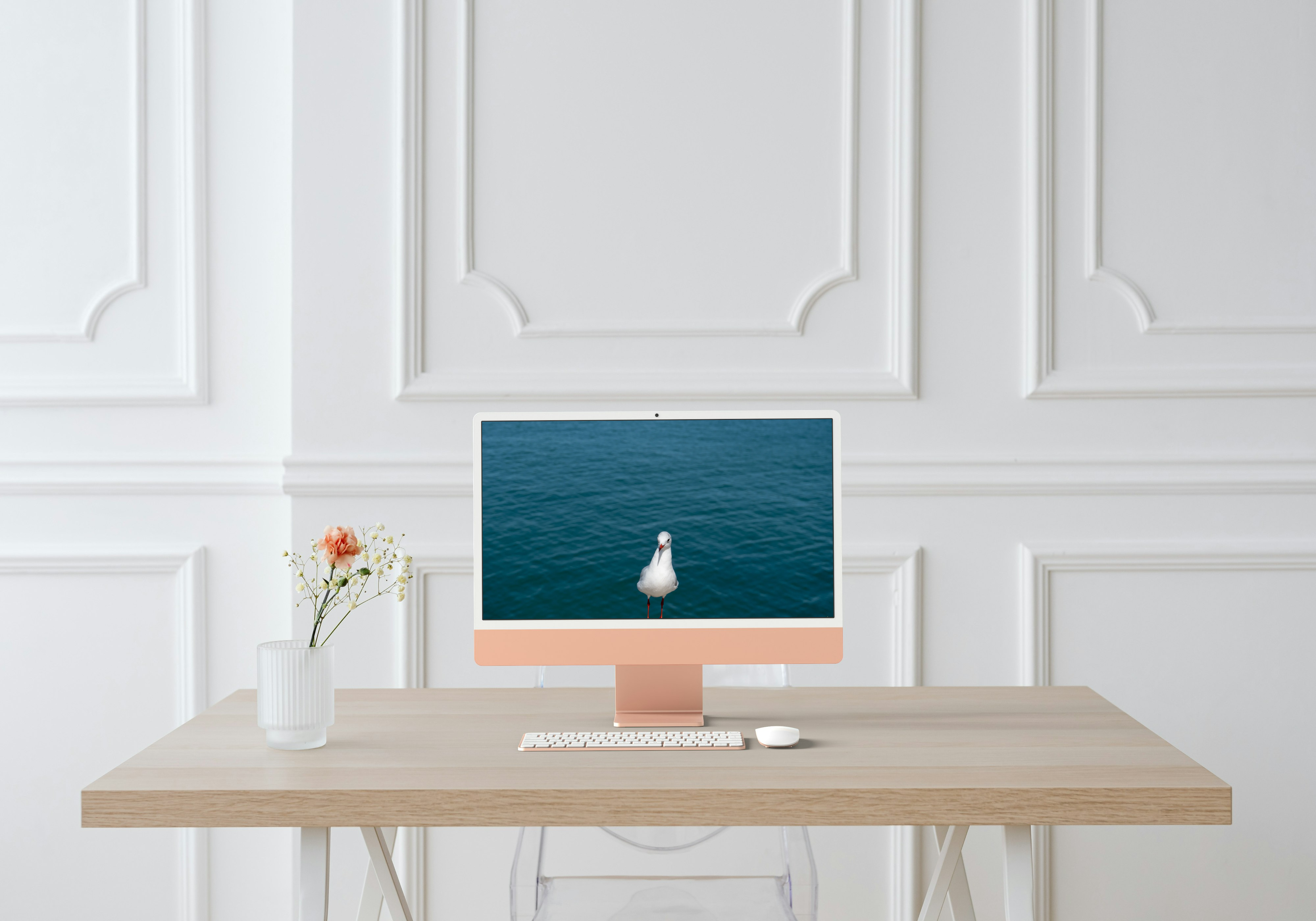 Équilibre marin – Mouette sur mur, illusion d’eau