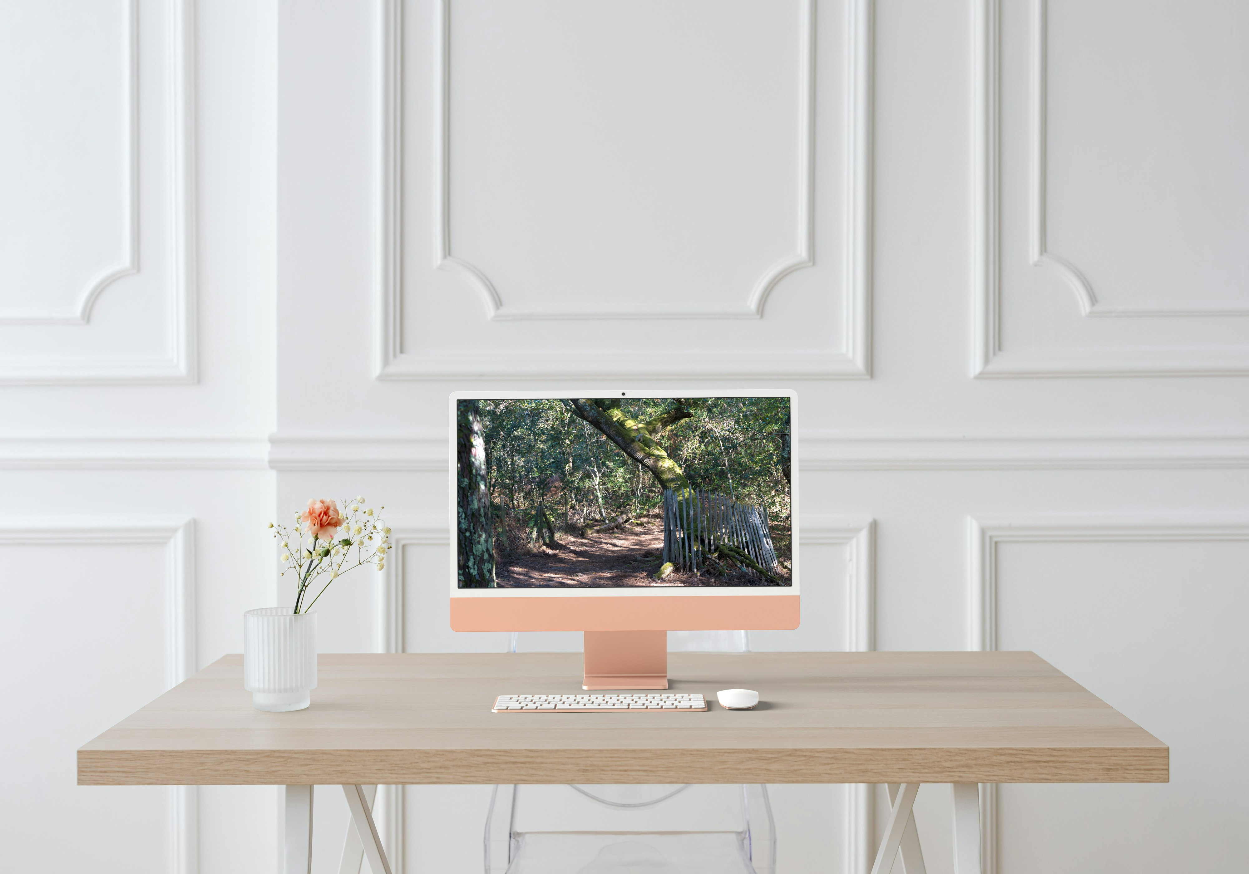 La Main de la Nature – Racine d’arbre en forme de main