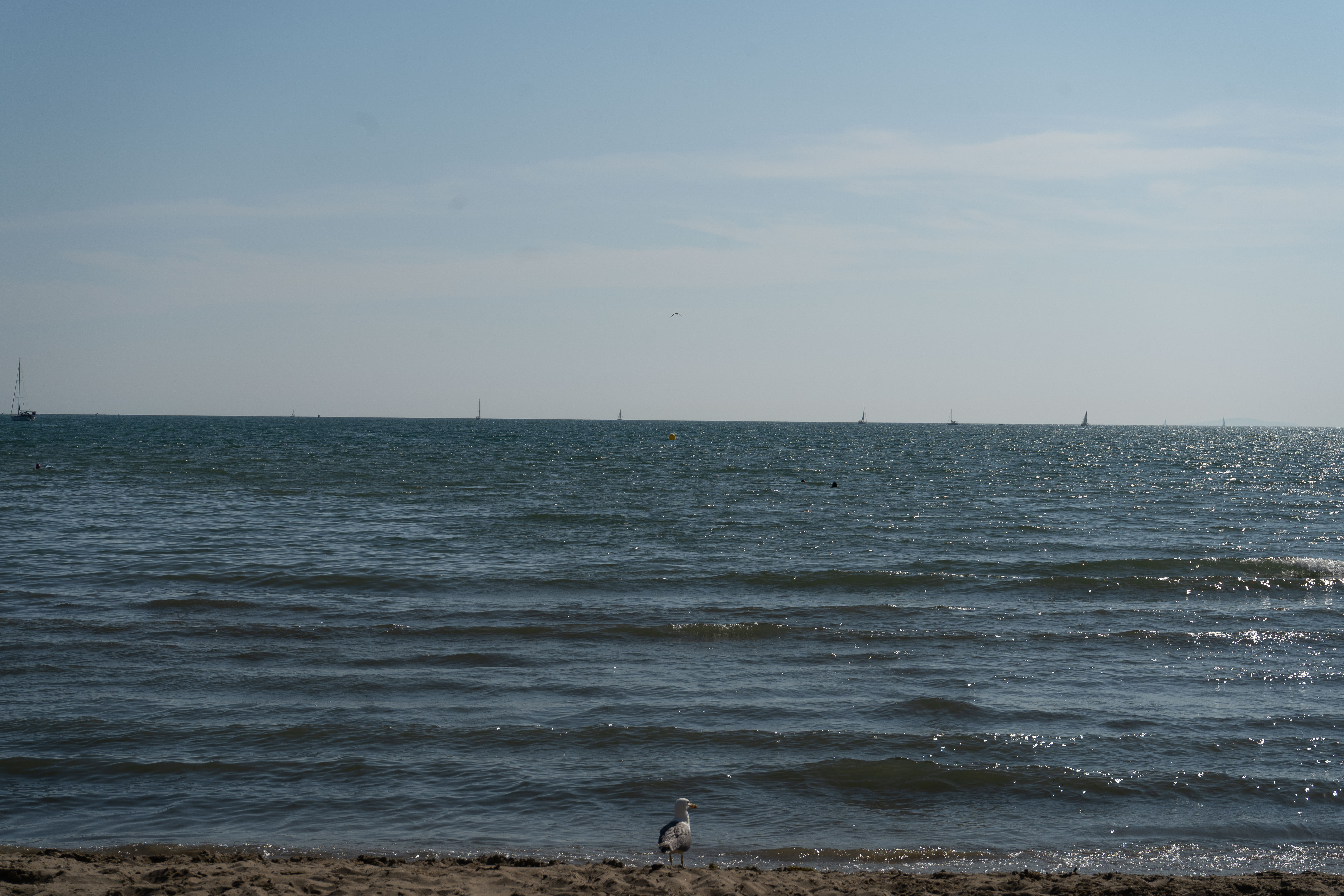Face à la mer – Grau-du-Roi