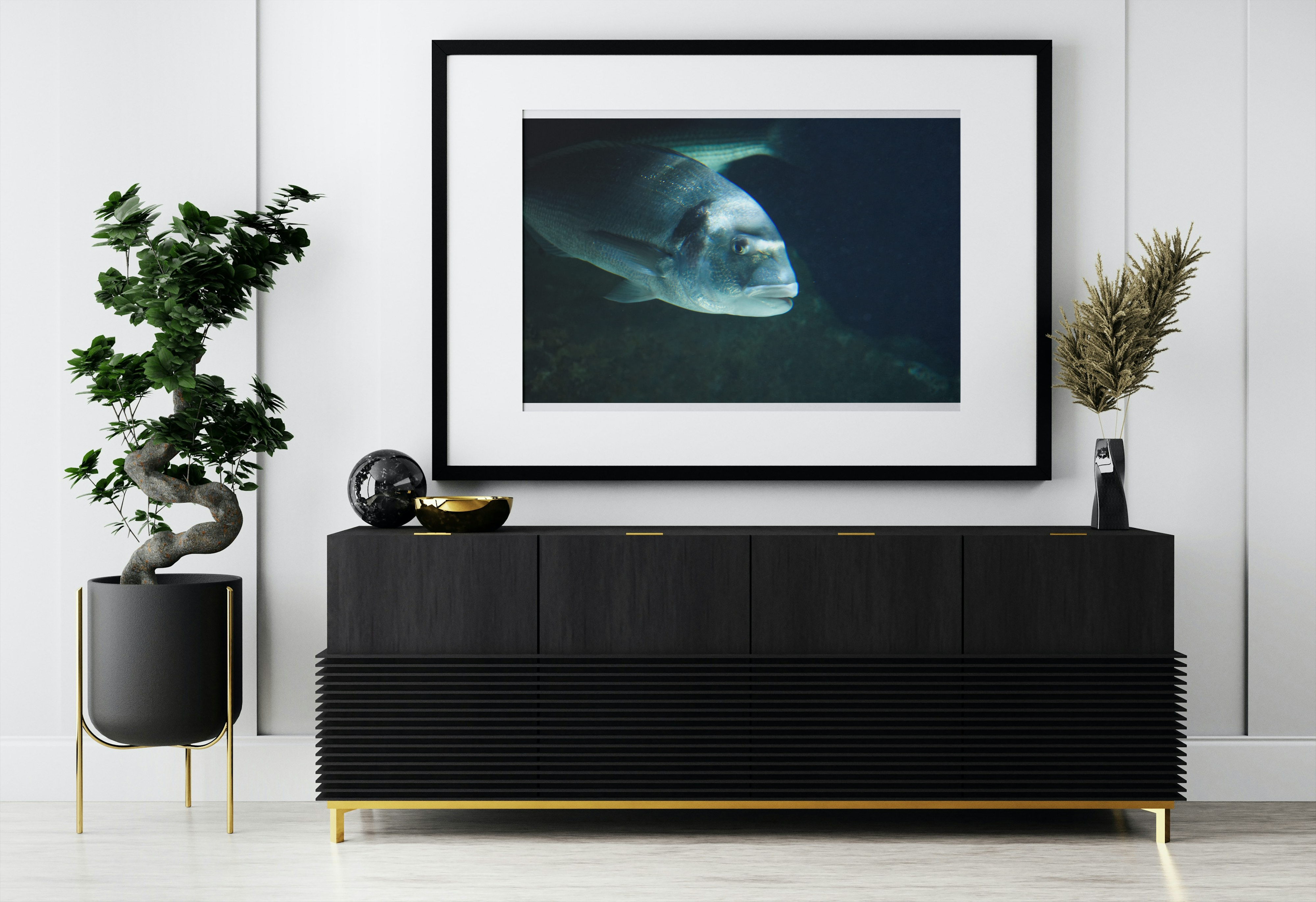 Daurade en mouvement – Photographie marine prise au Seaquarium du Grau-du-Roi