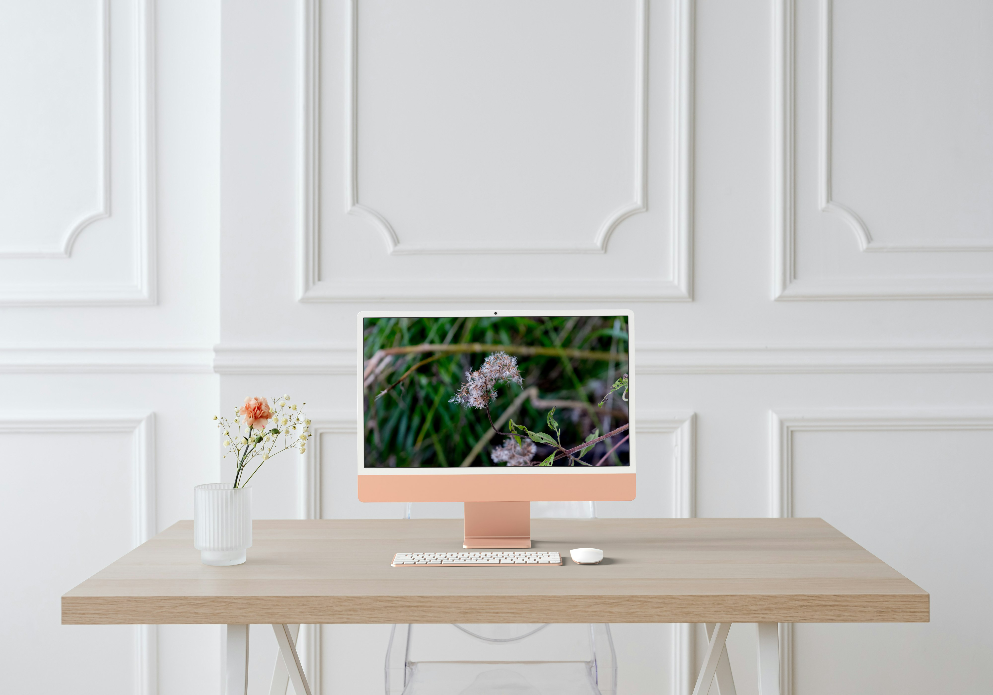 Branche de Roldana Patasitis en Macro – Élégance Botanique sur Fond Vert