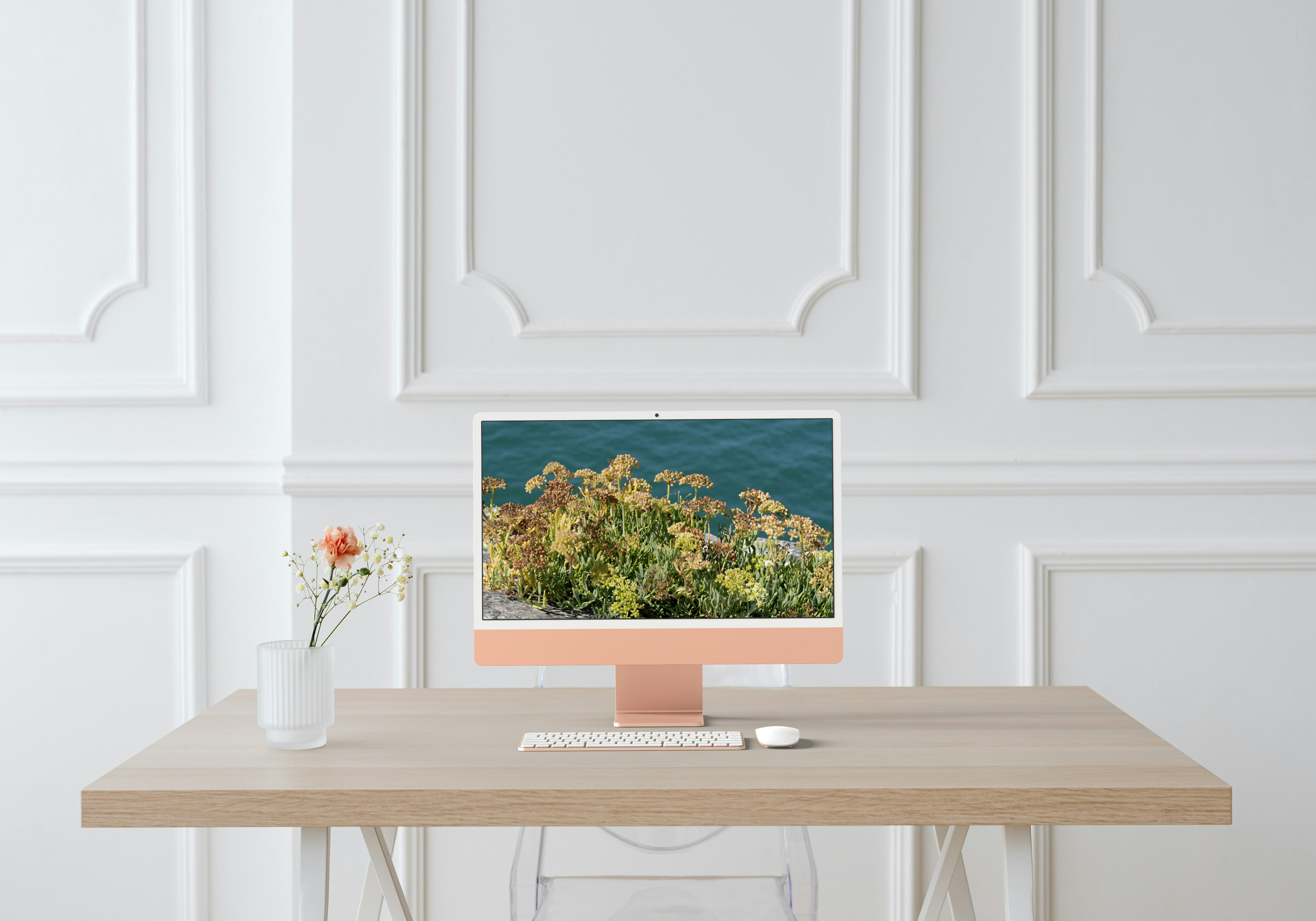 Criste marine sur un mur de bord de mer – Saint-Martin-de-Ré, Île de Ré