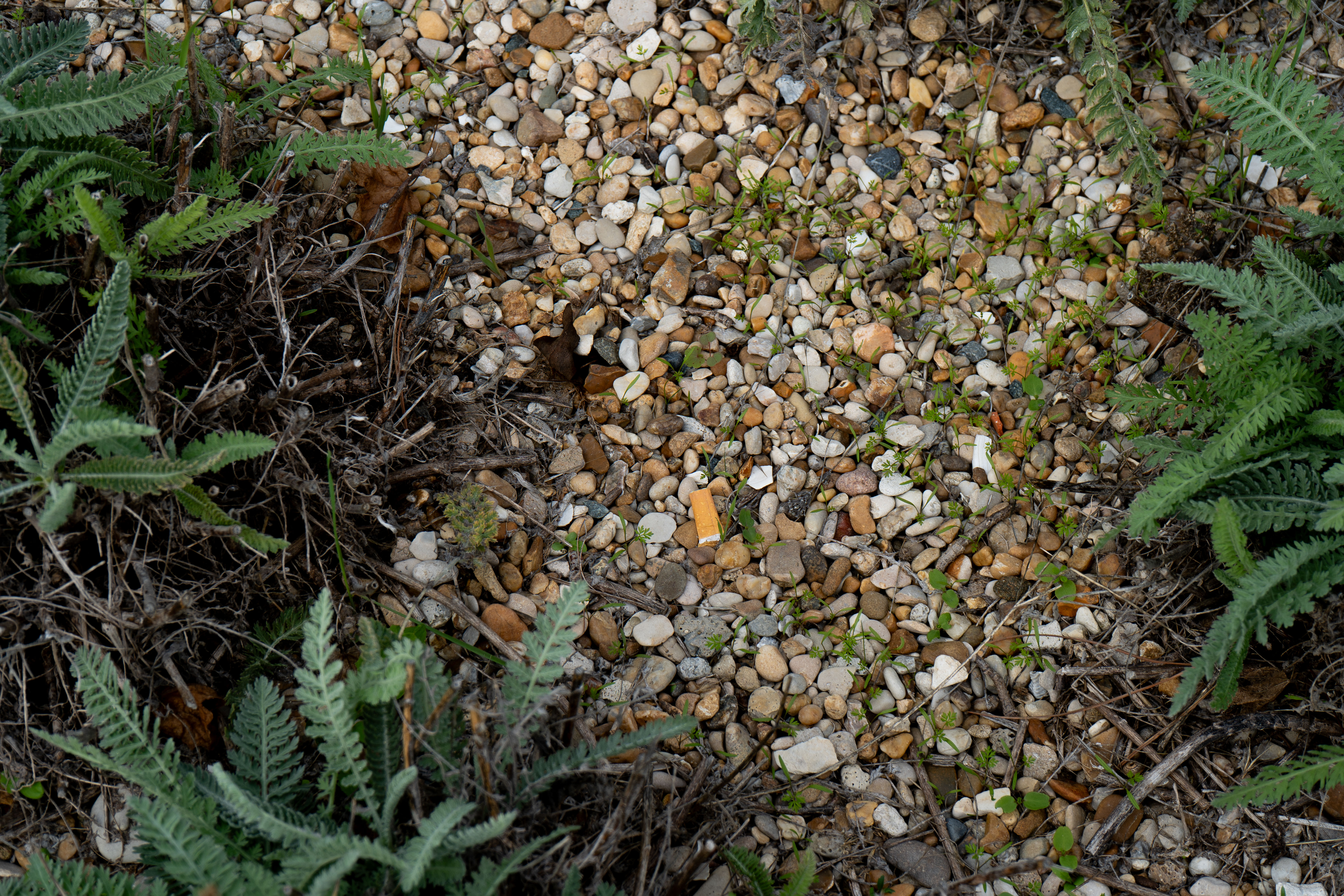 « Nature Abîmée » – Photographie contemporaine