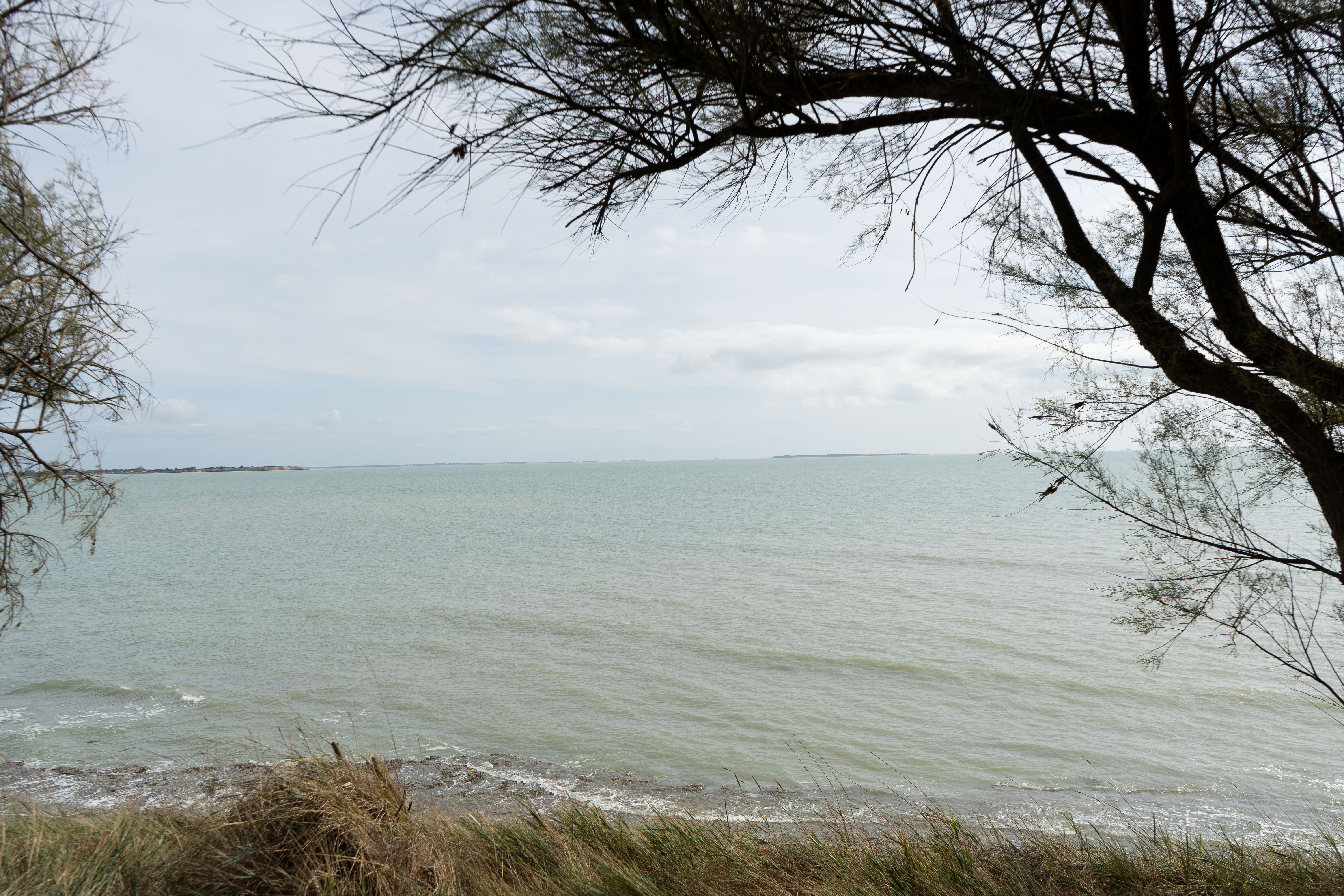 La Plage des Minimes encadrée par la nature – La Rochelle