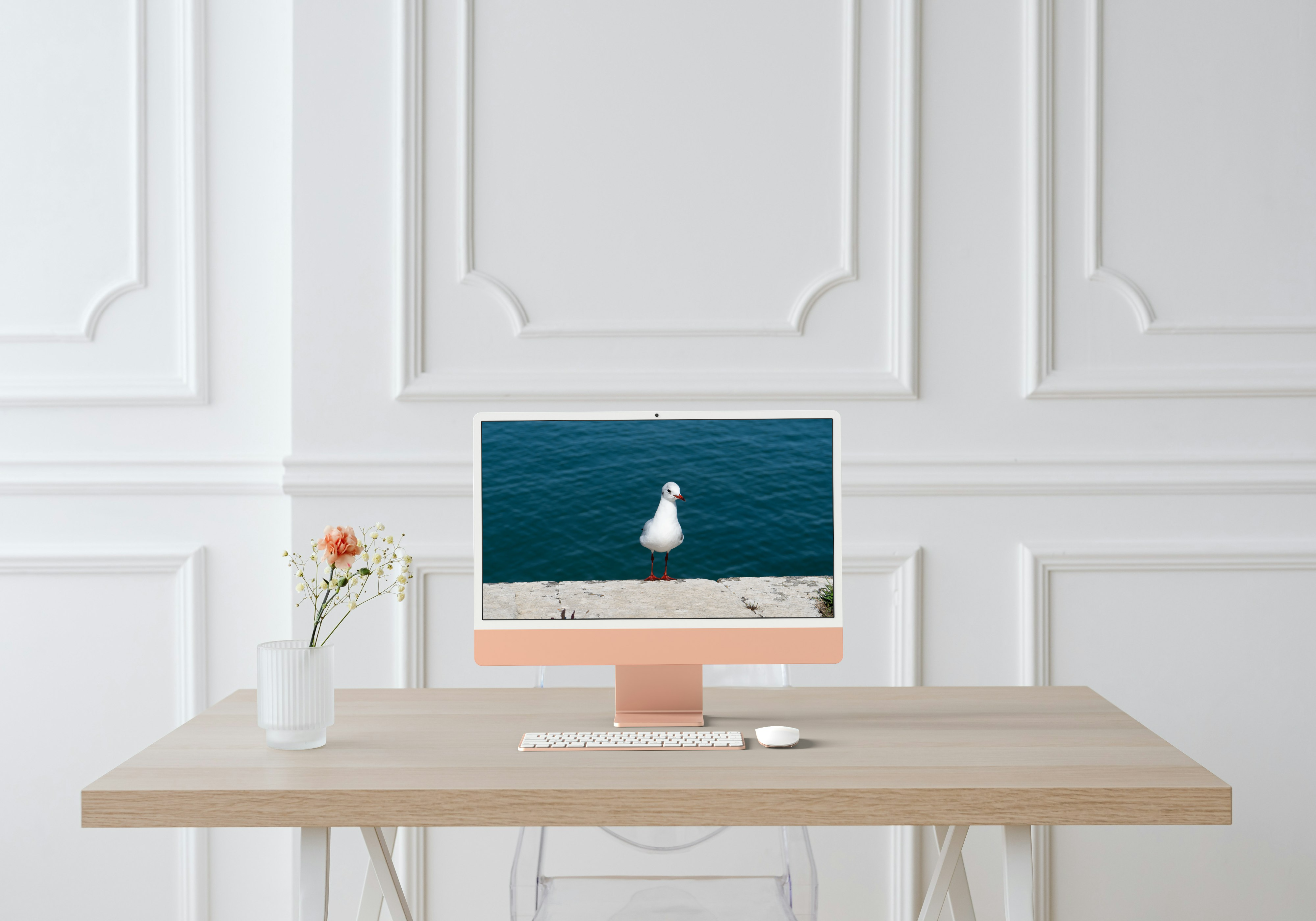 Mouette sur le mur – Saint-Martin-de-Ré, Île de Ré
