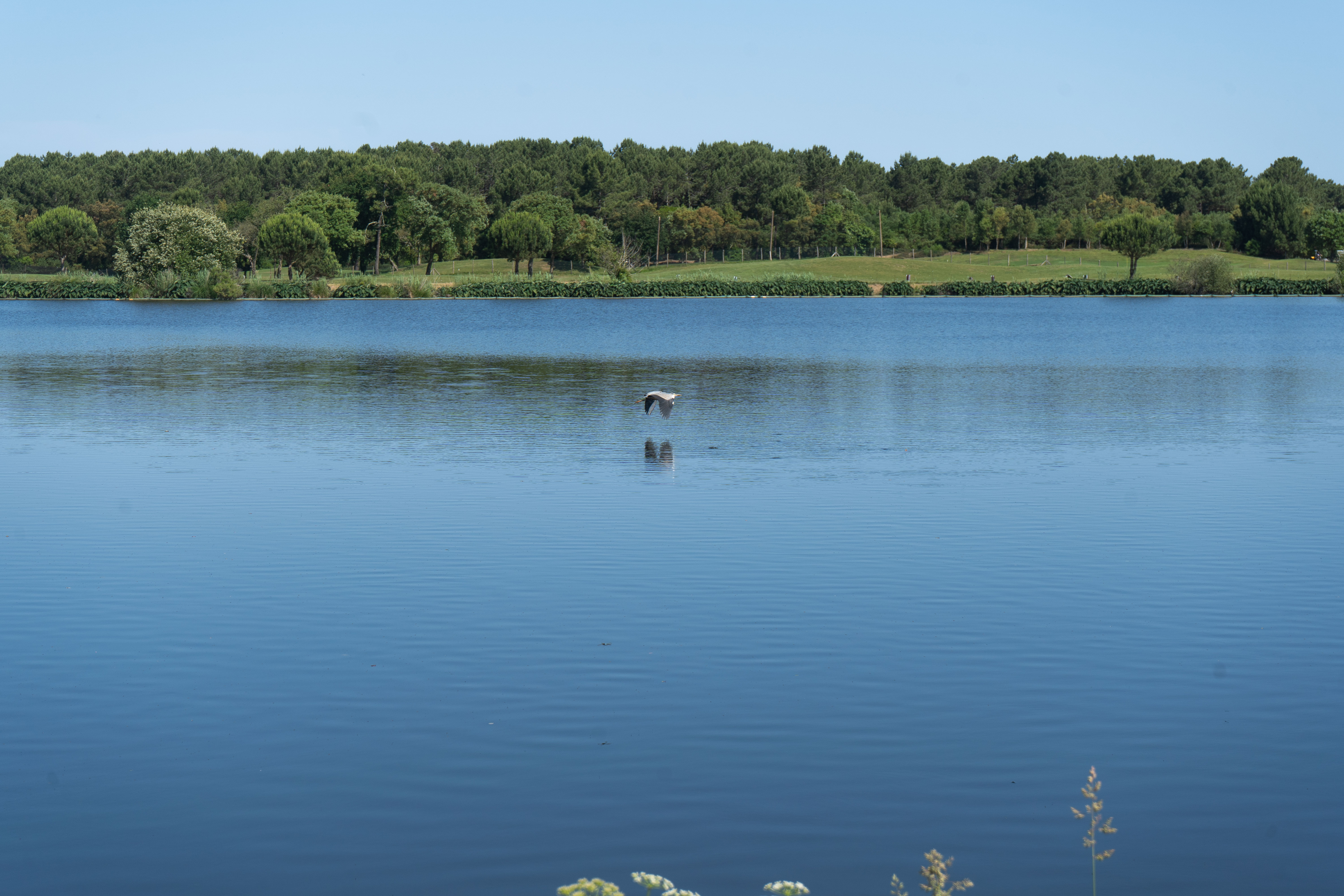 Envol sur les Reflets de Pinsolle