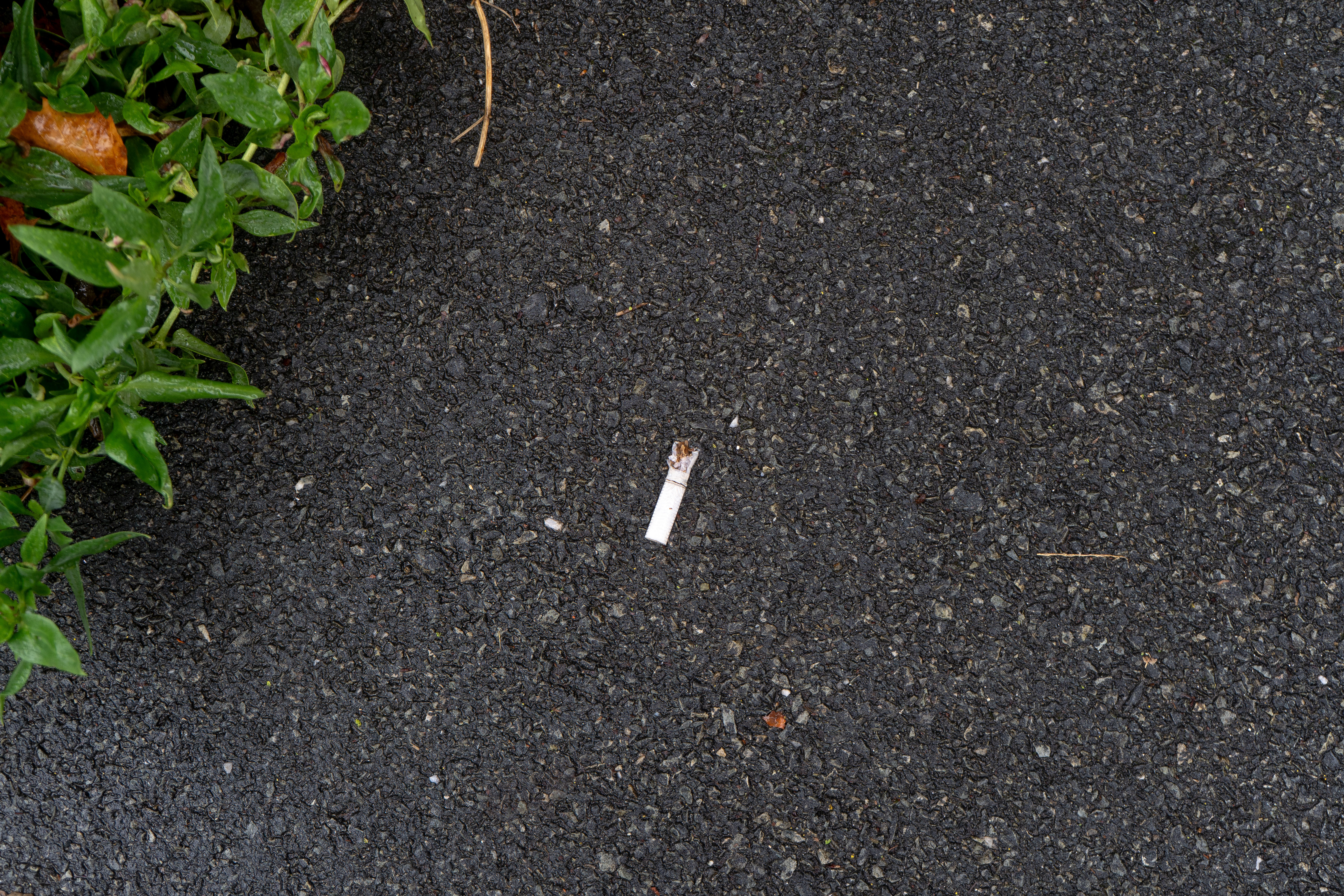 « Trace Urbaine » – Photographie contemporaine d’un mégot sur le bitume