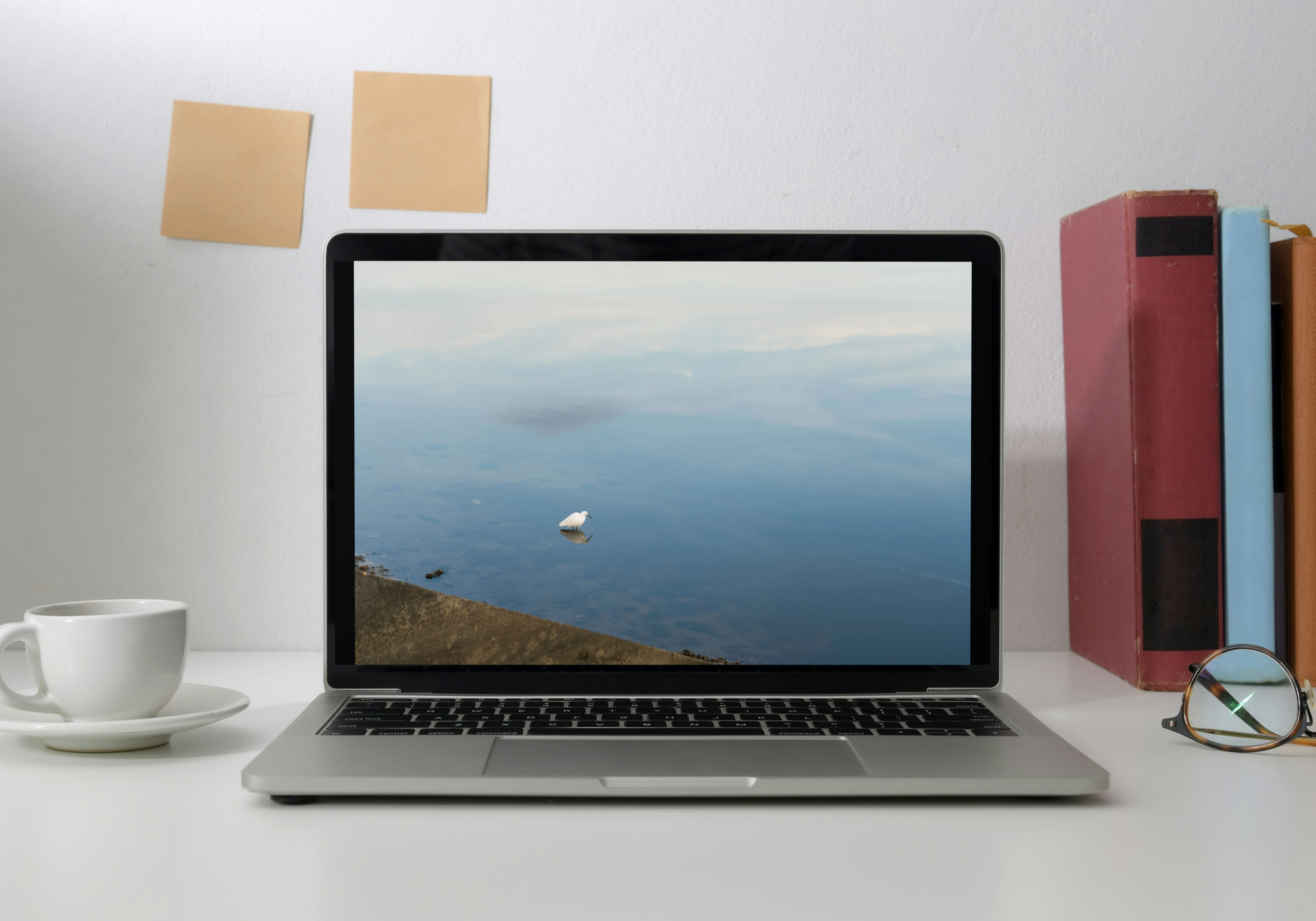 Aigrette abstraite en macro – Photographie artistique minimaliste